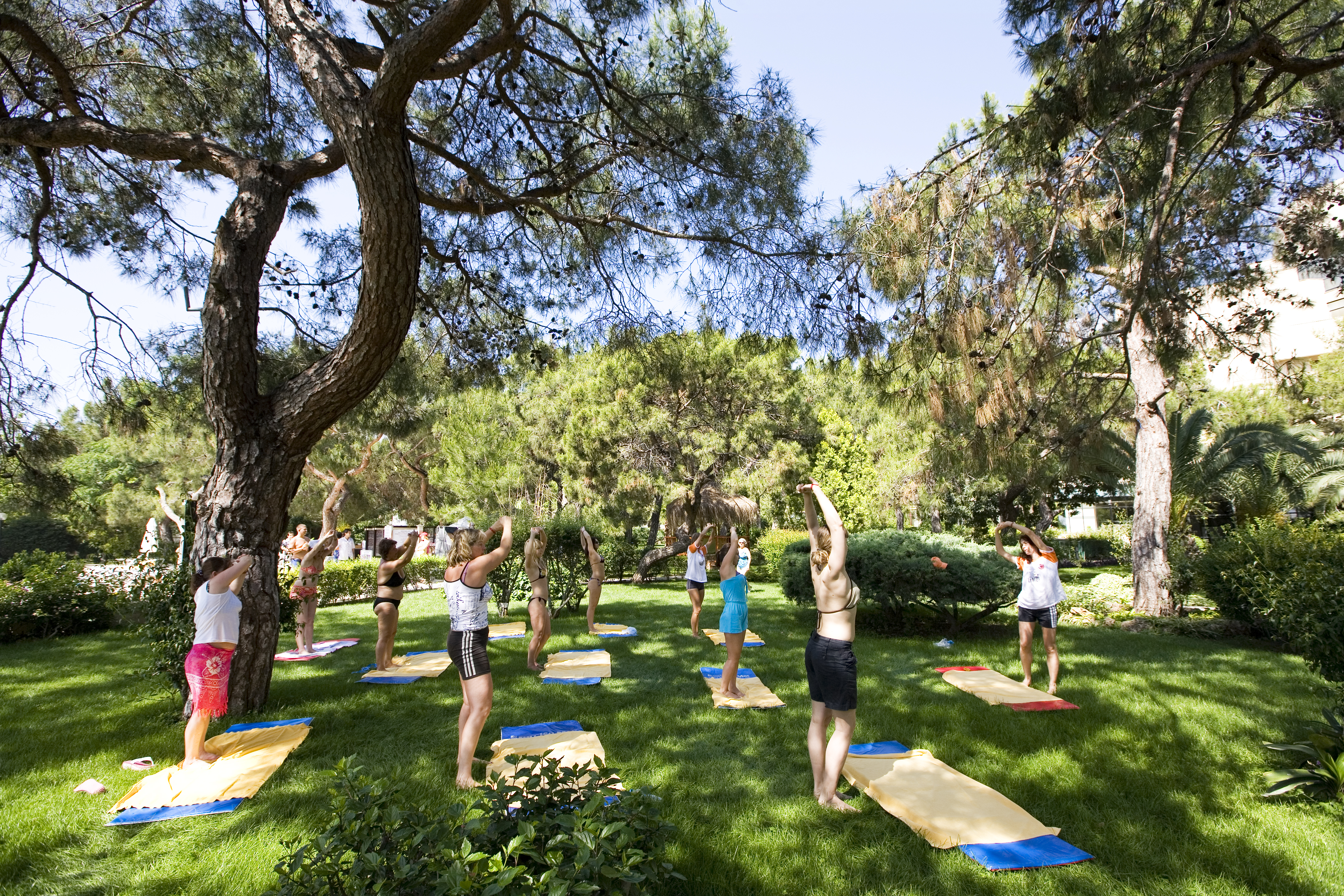 Sports and Entertainment