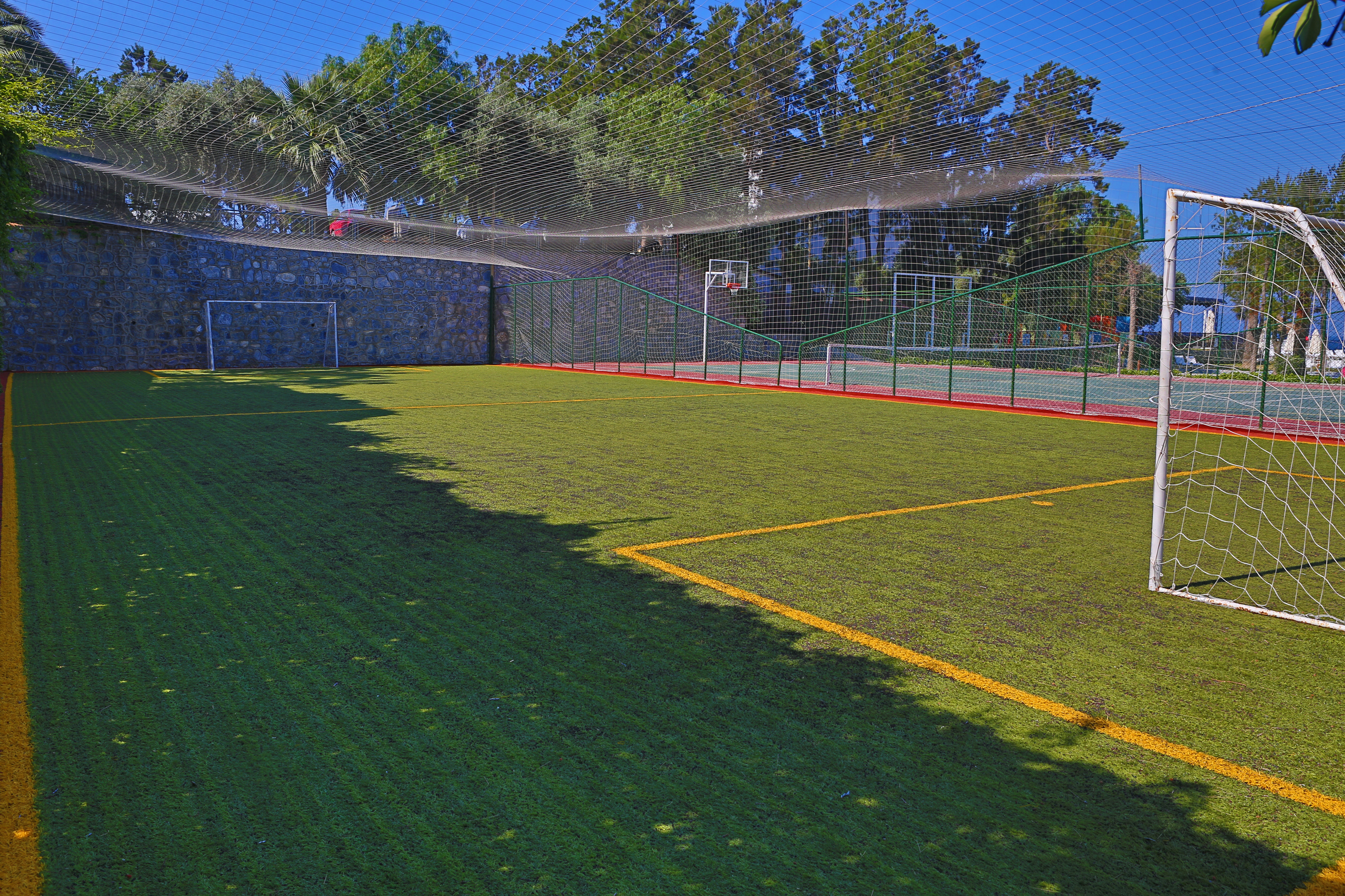 Sports and Entertainment