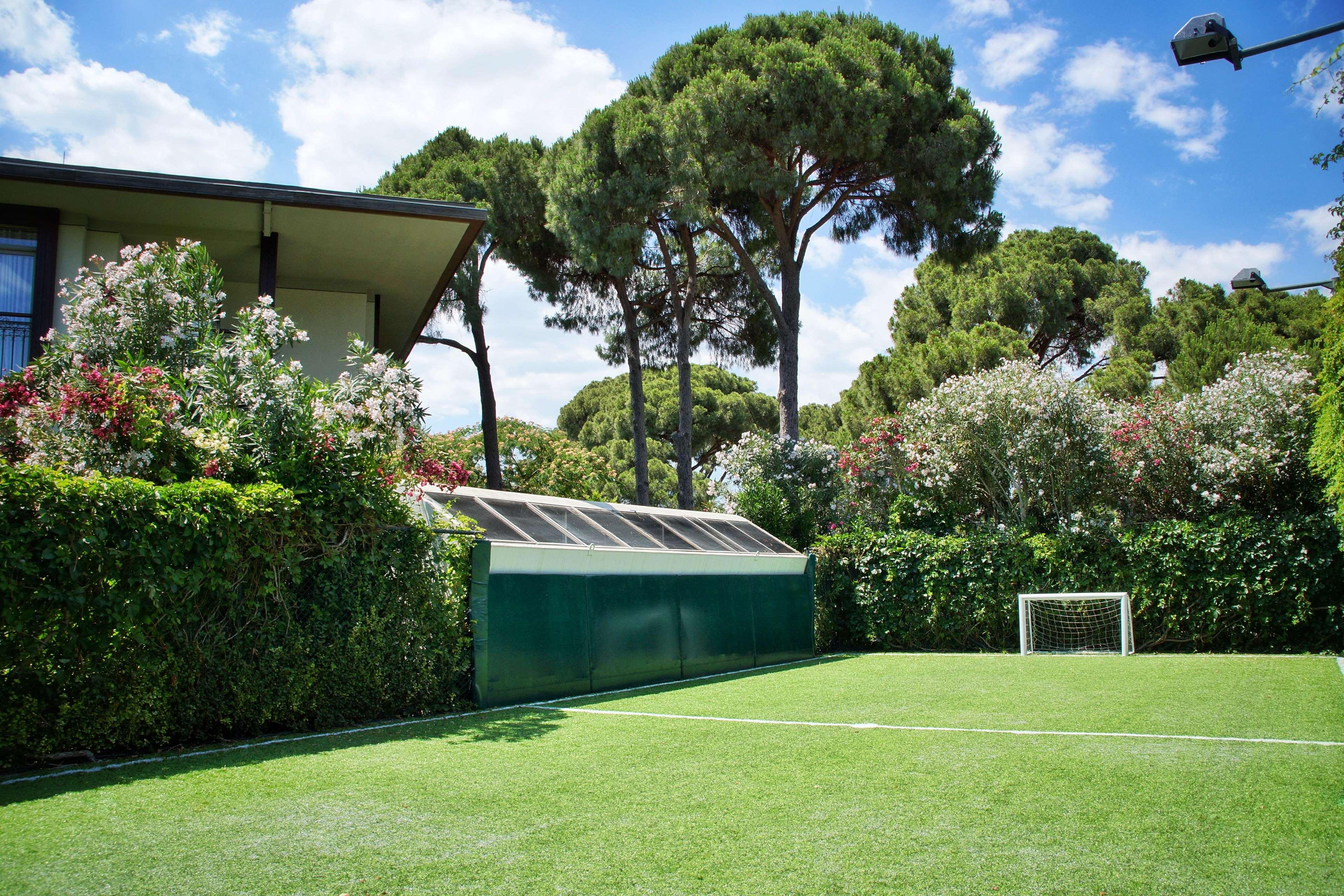 Sports and Entertainment