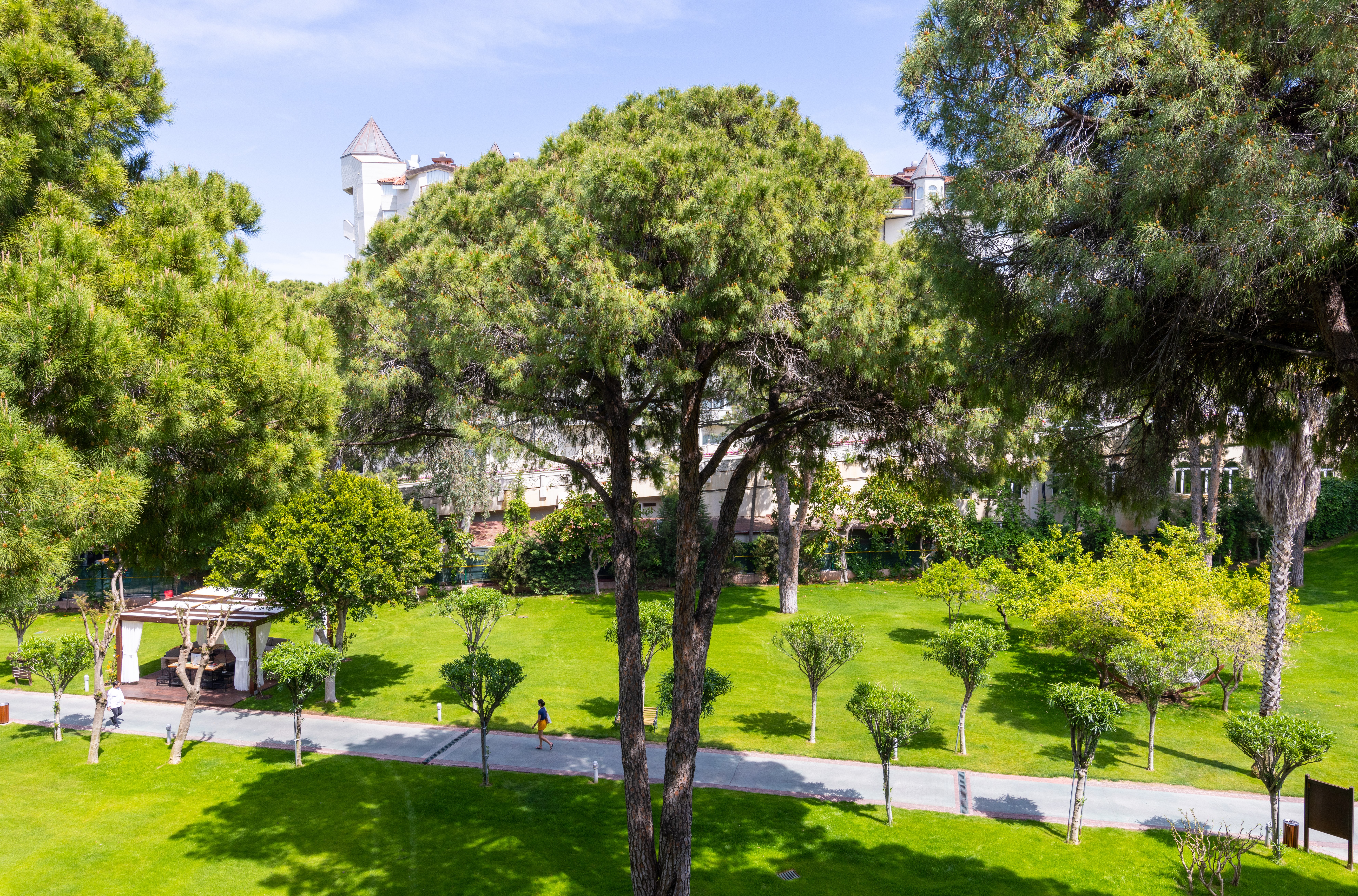 Junior Suite Standard