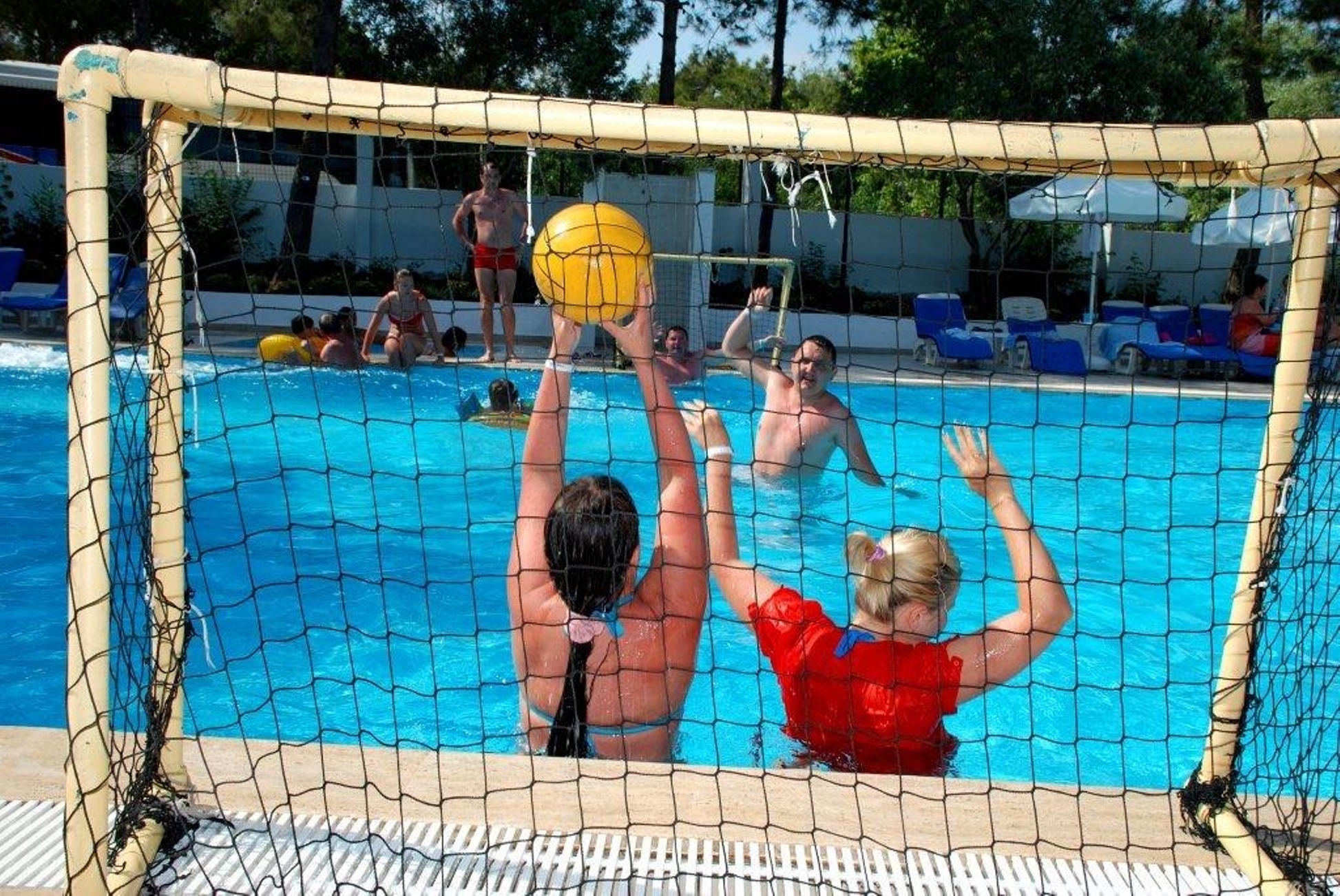 Sports and Entertainment