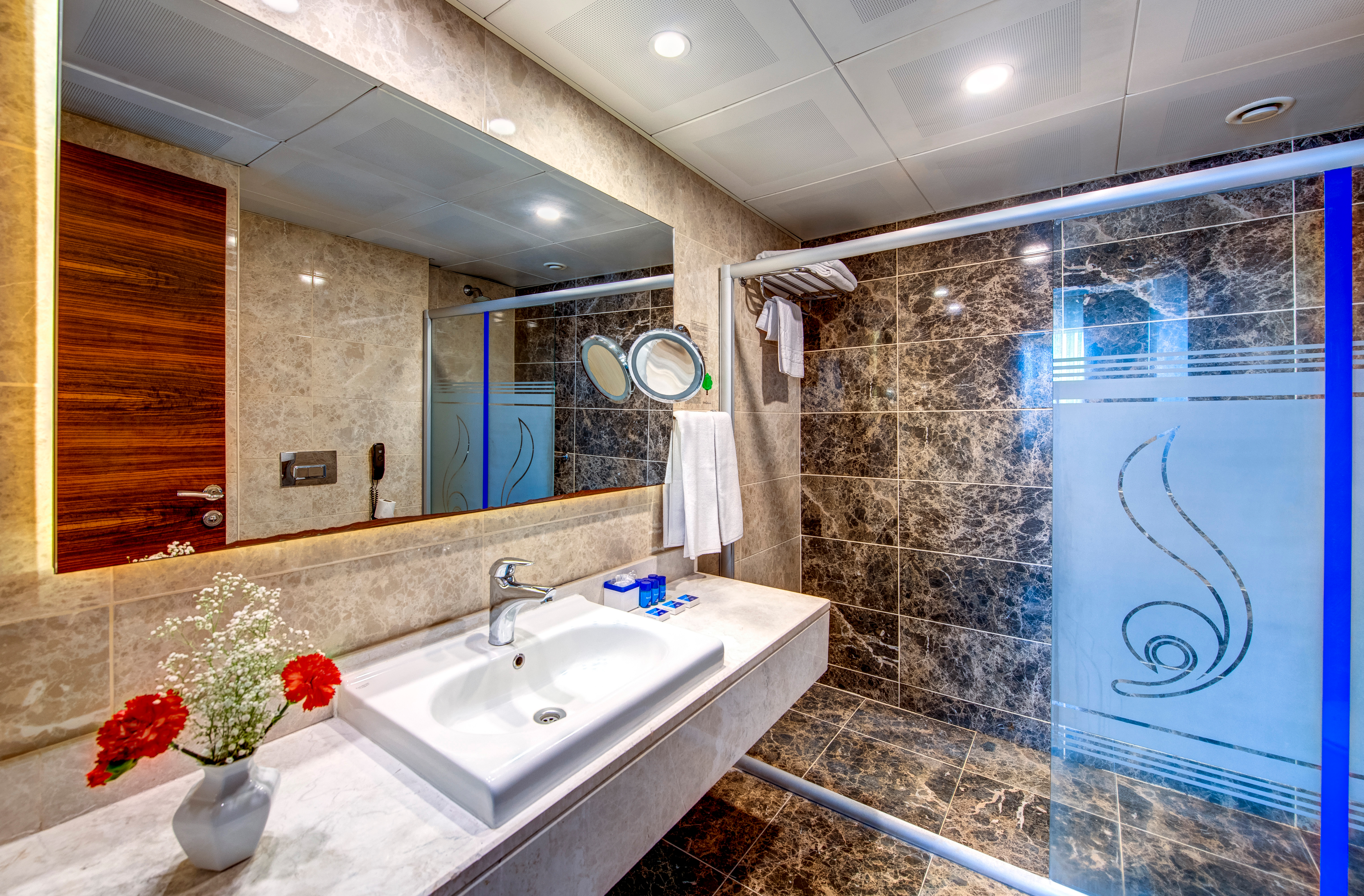 Family Room Deluxe Executive