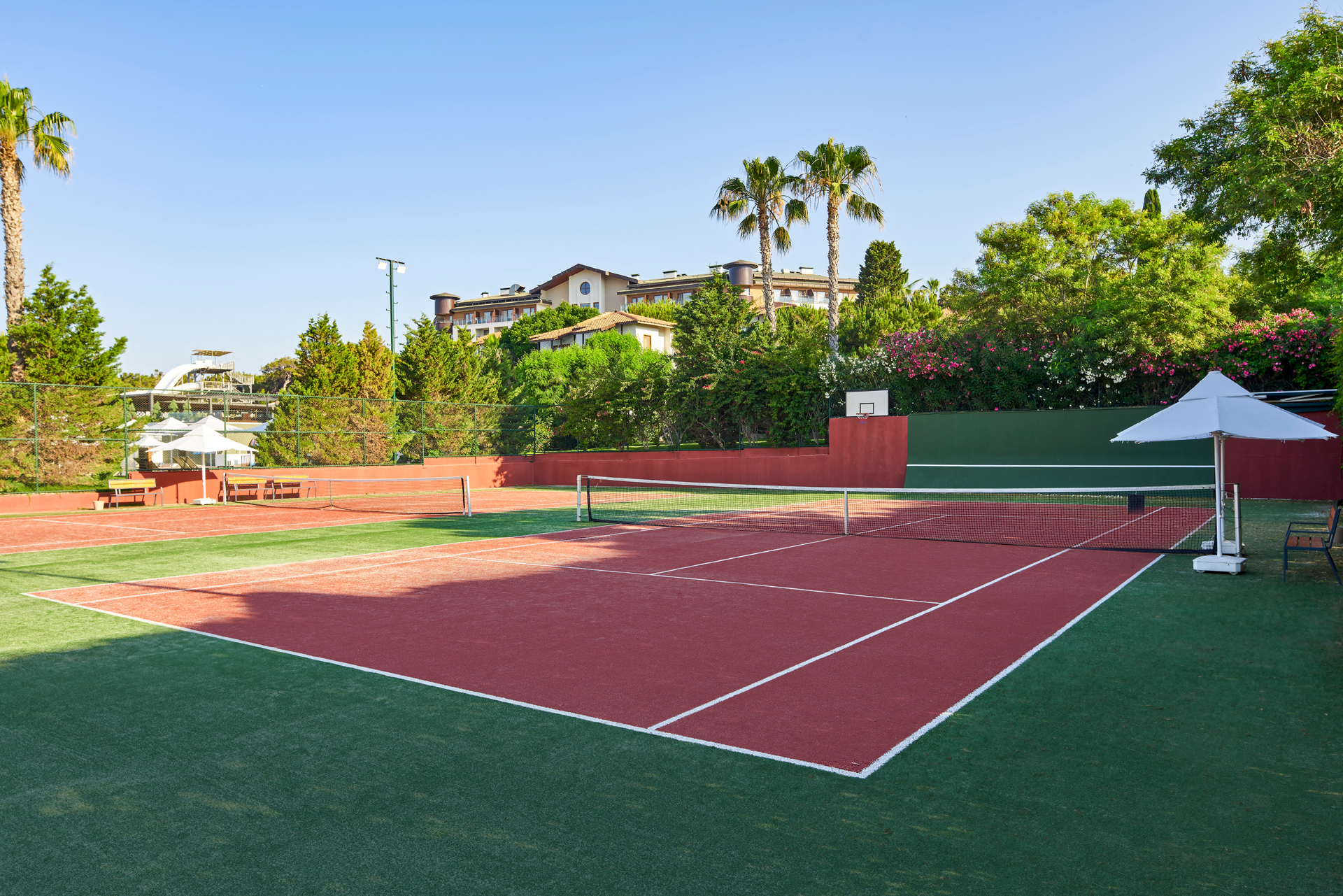 Sports and Entertainment