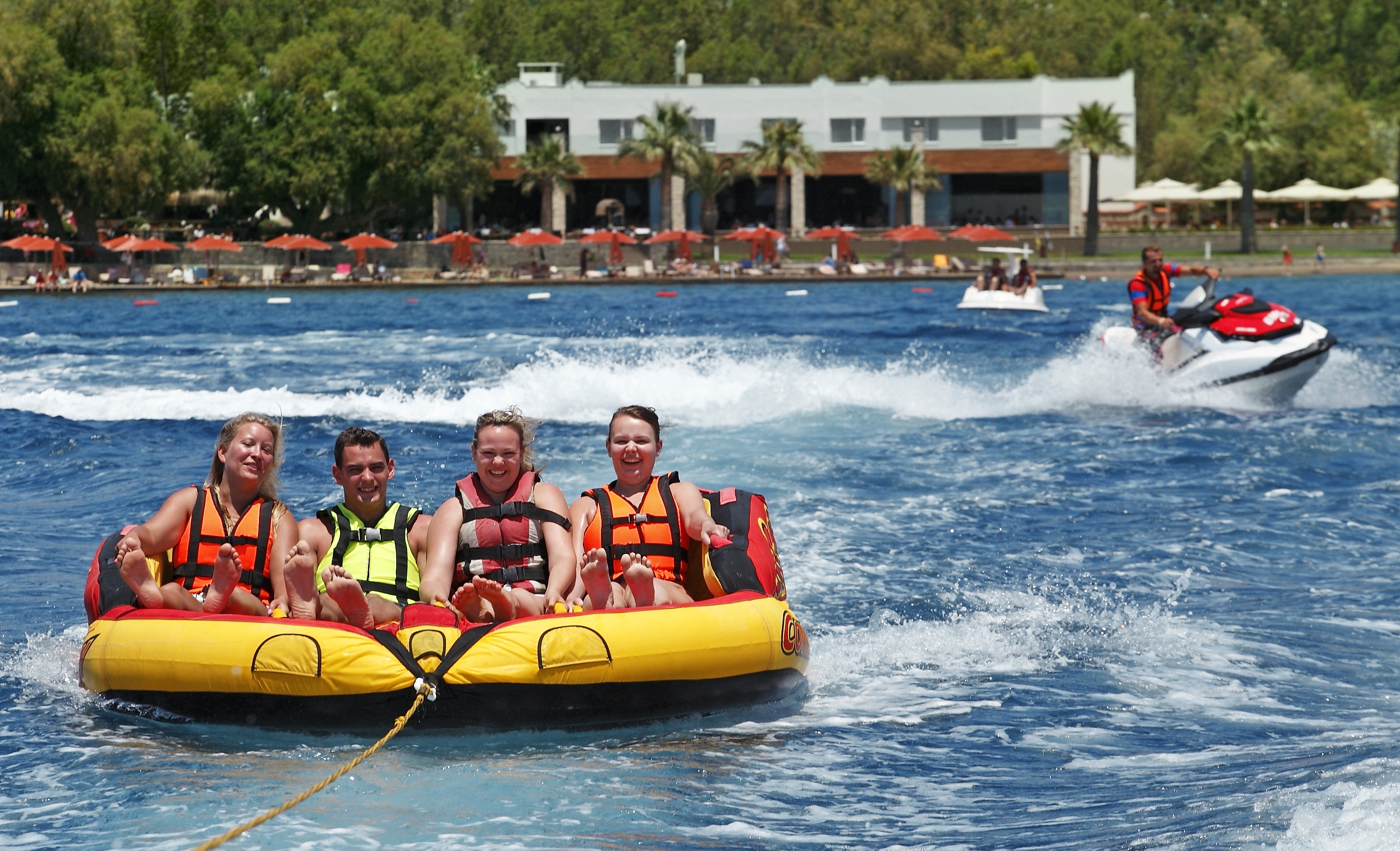 Sports and Entertainment