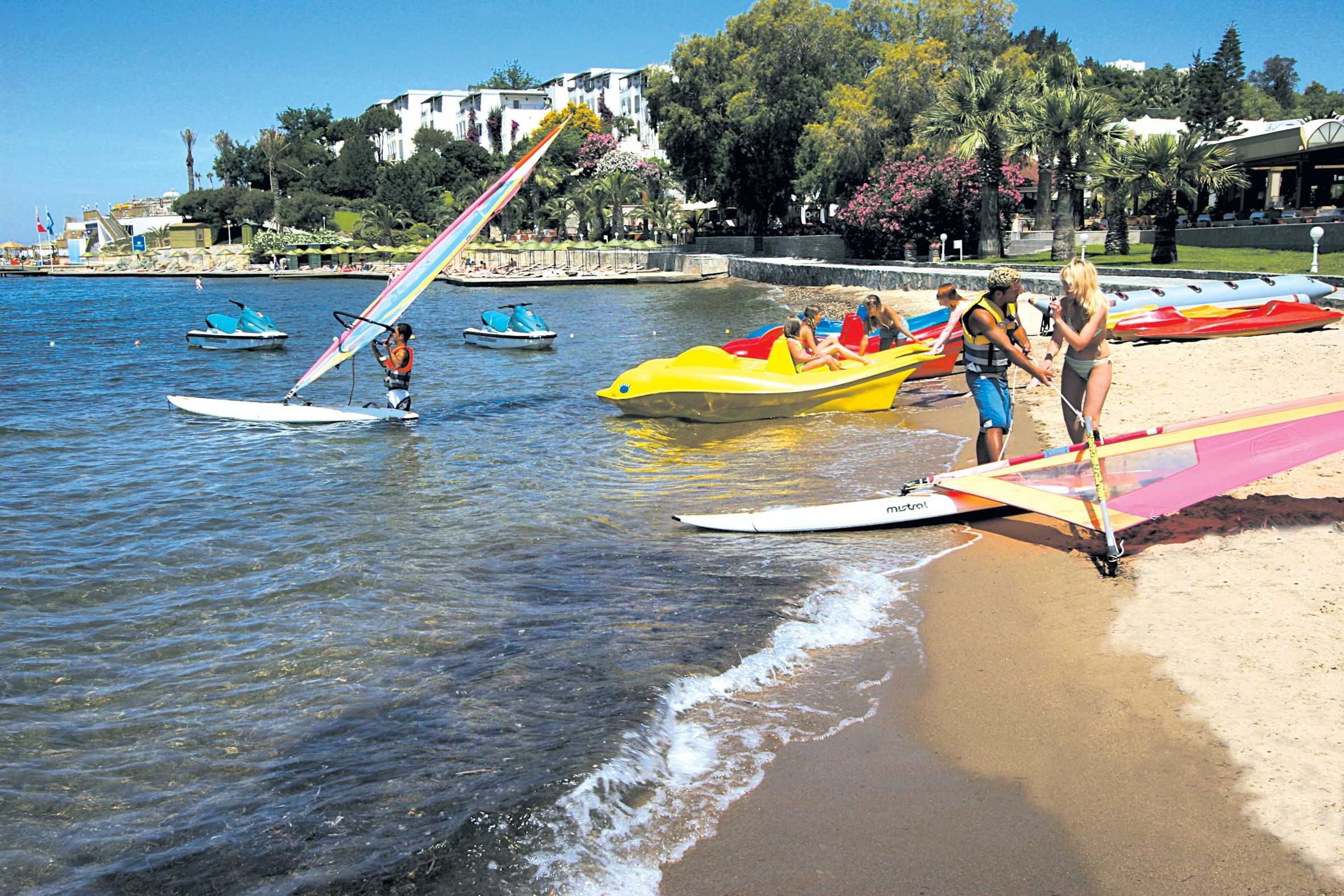 Sports and Entertainment