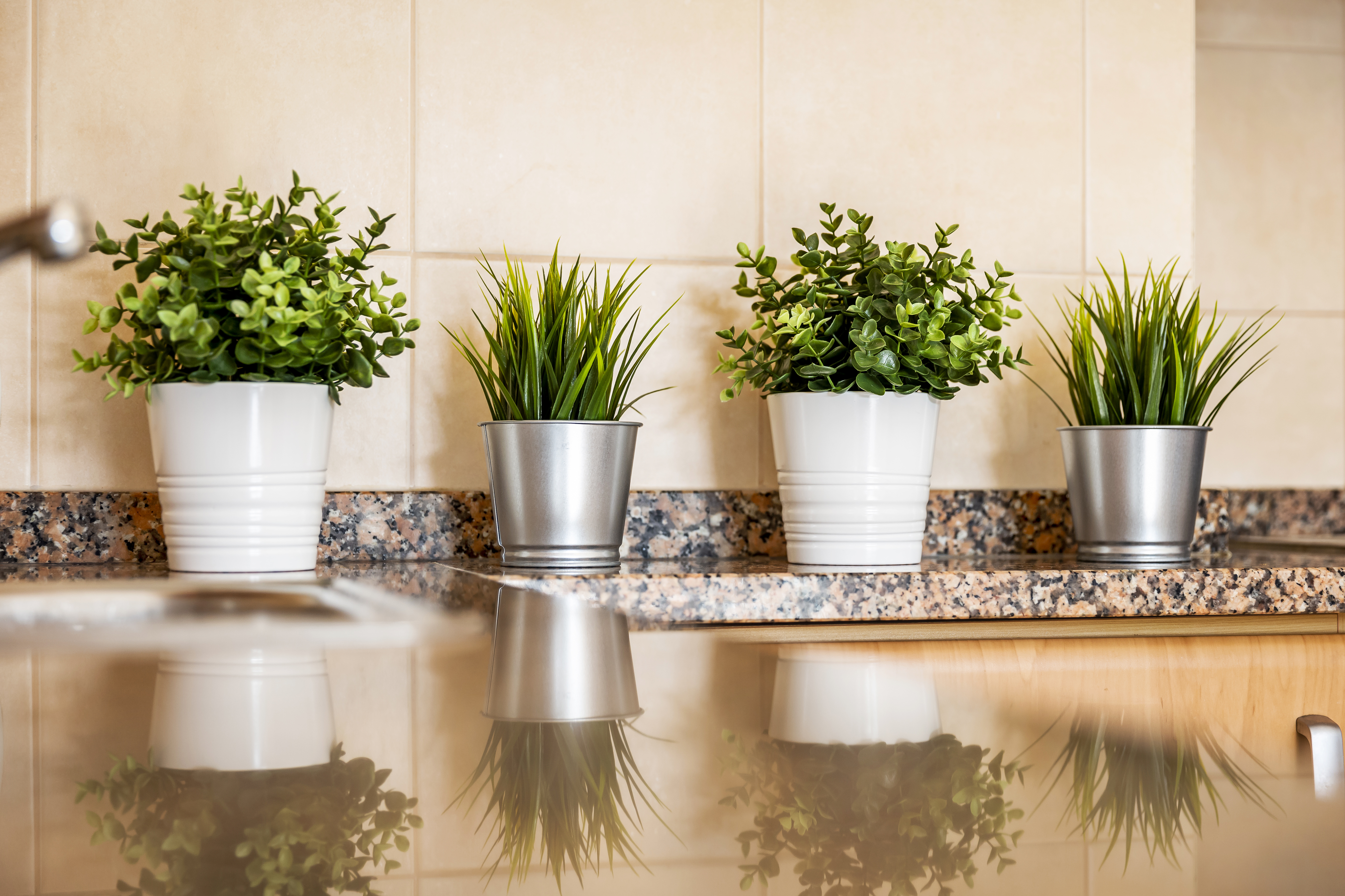 Apartment One Bedroom