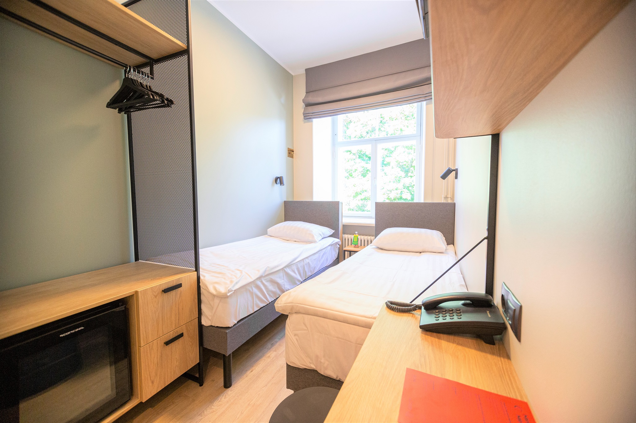 Double or Twin Economy