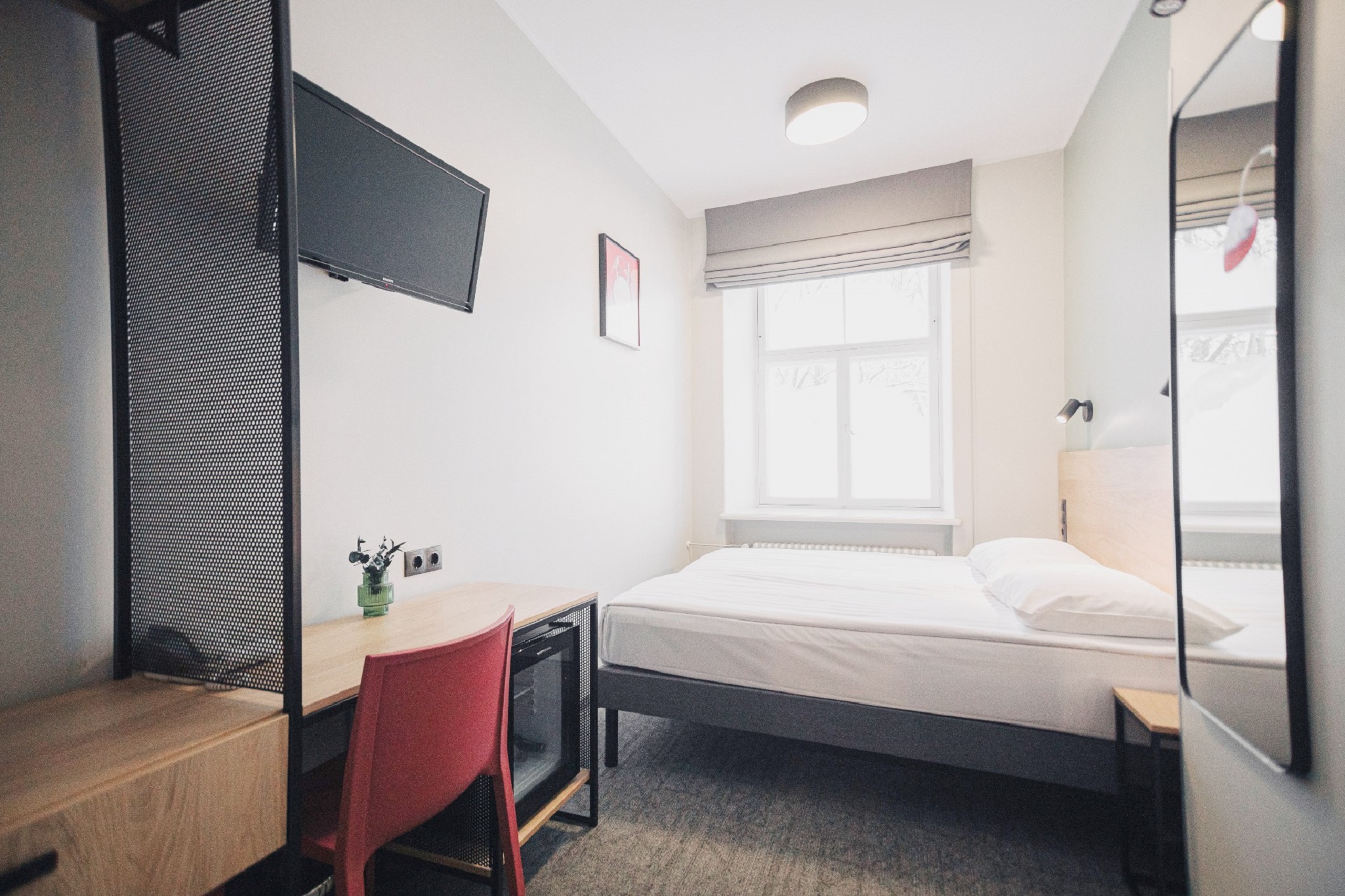 Double or Twin Economy