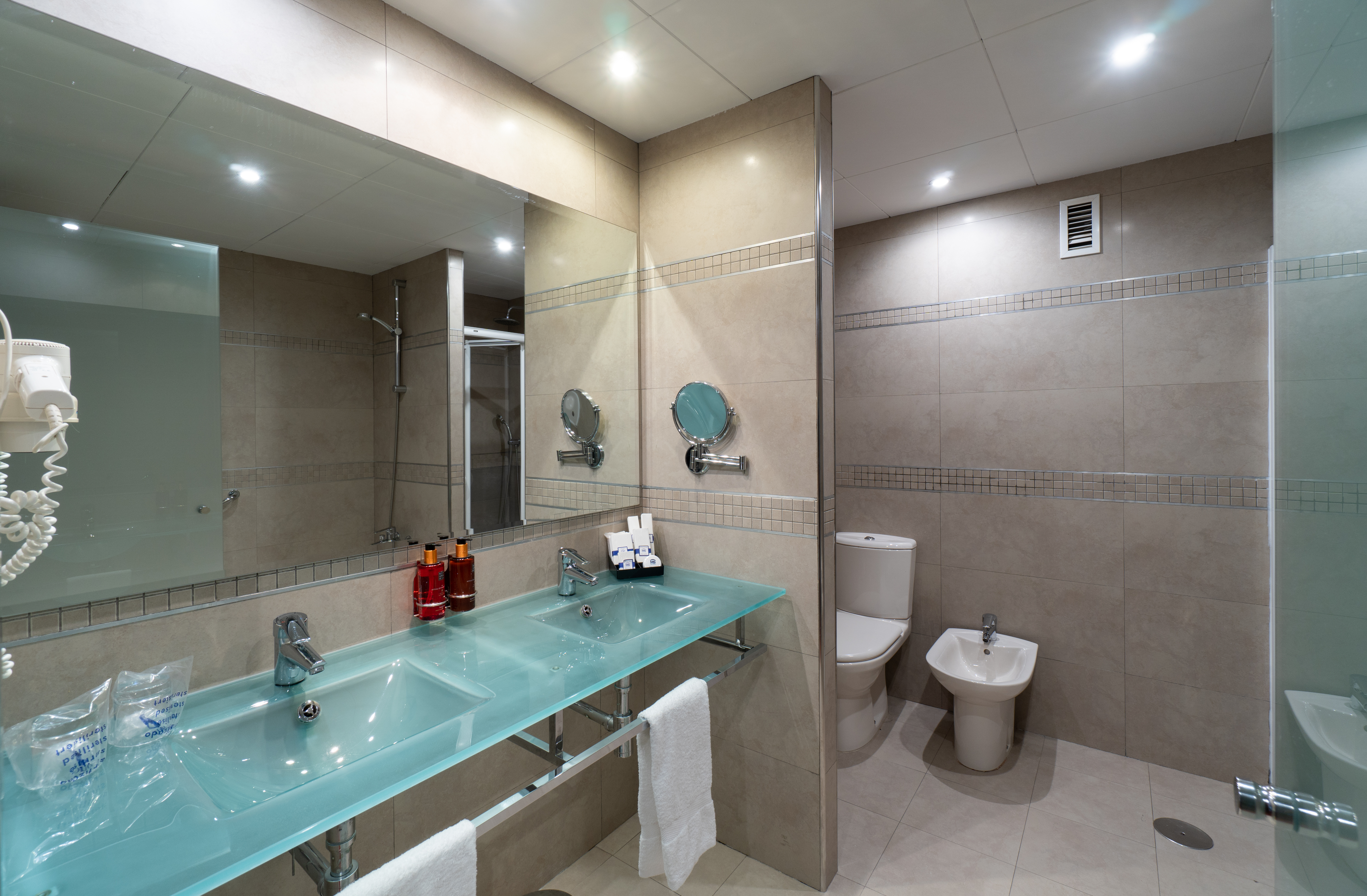 Double or Twin Superior