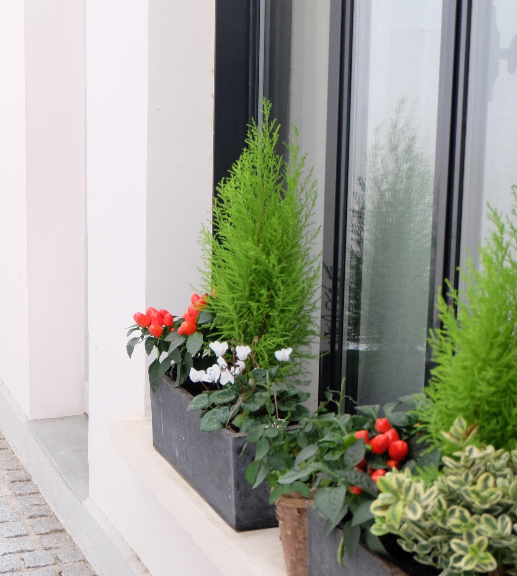 Double Classic Queen Bed