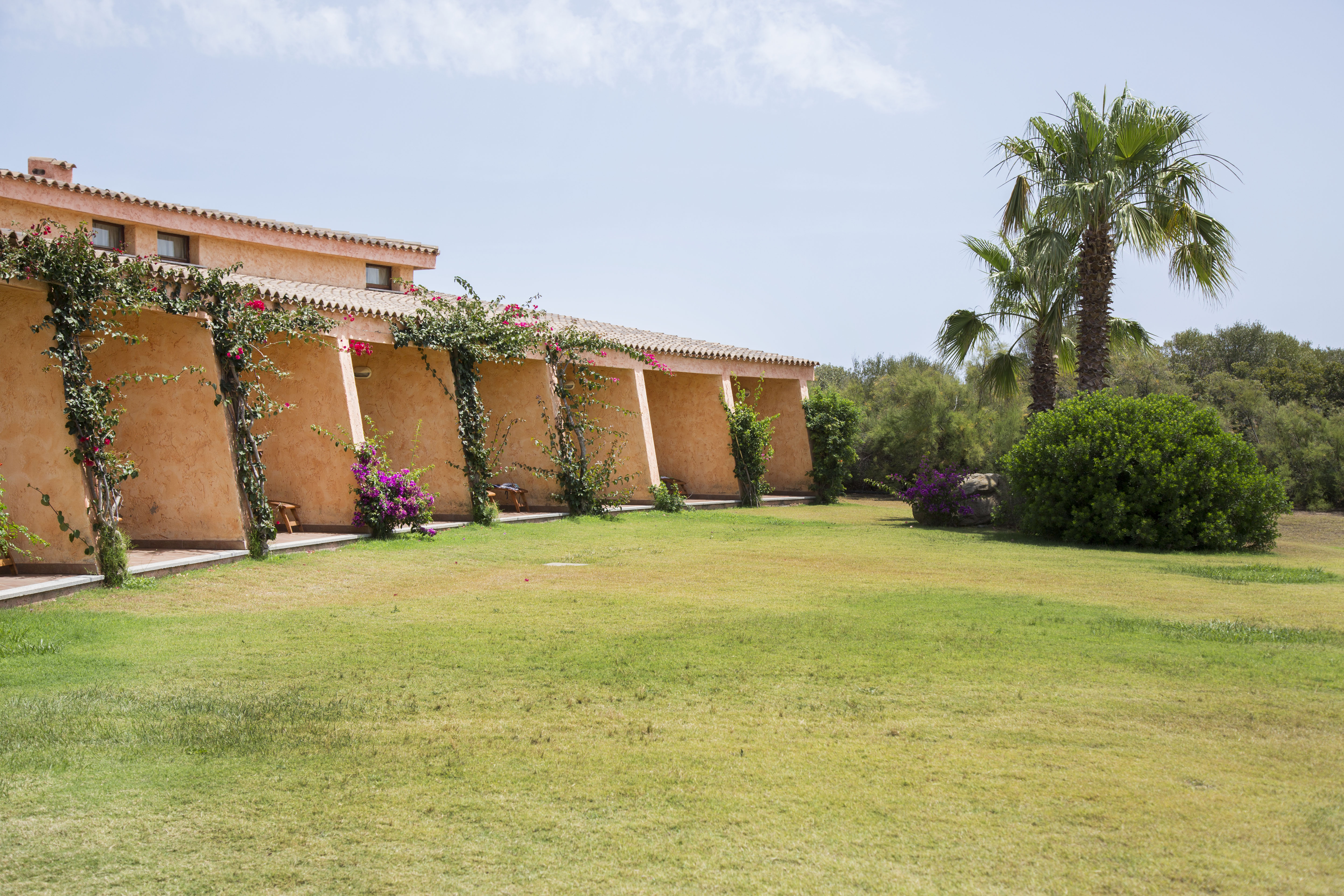 Family Room Standard