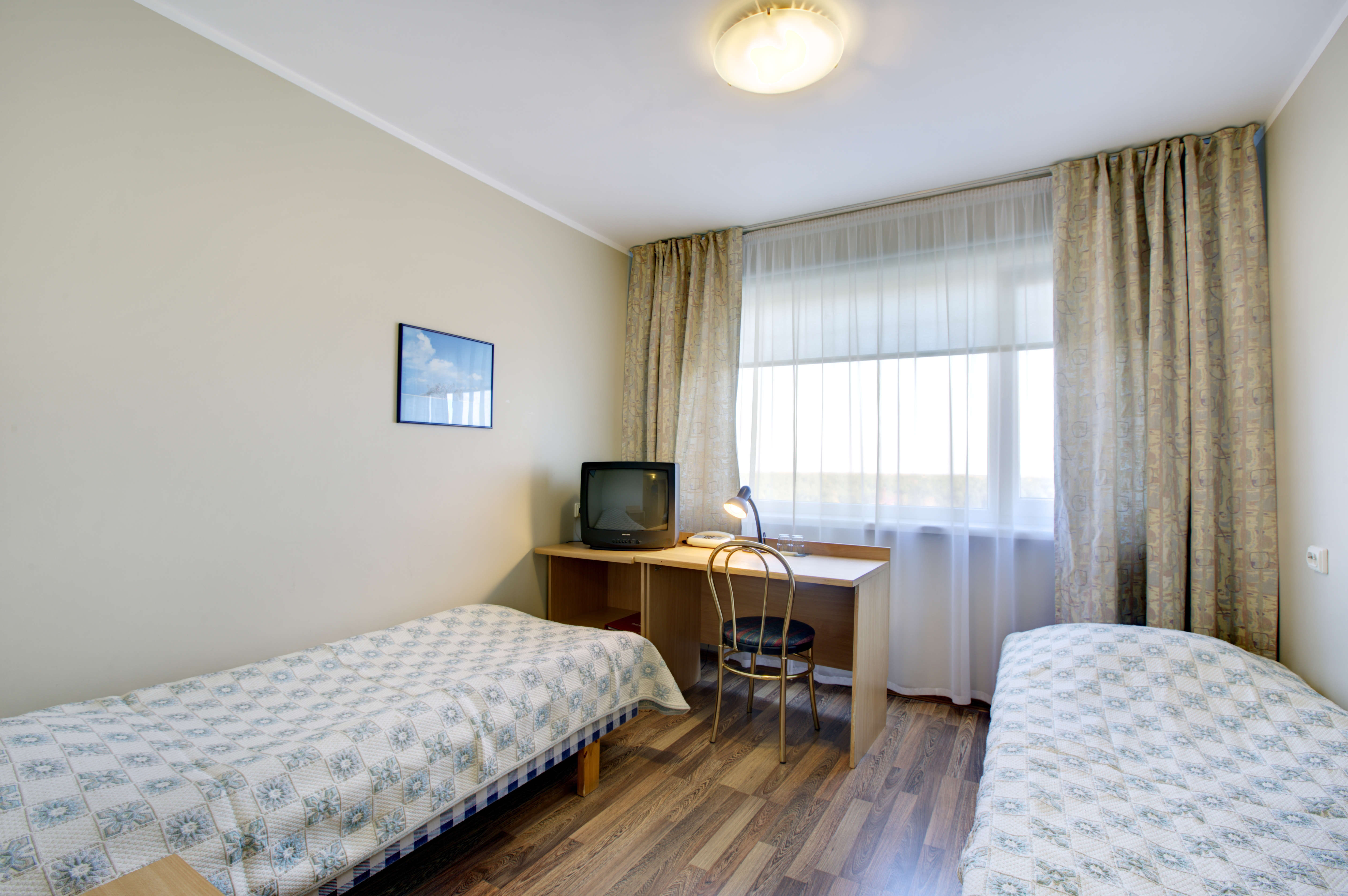 Double or Twin Economy