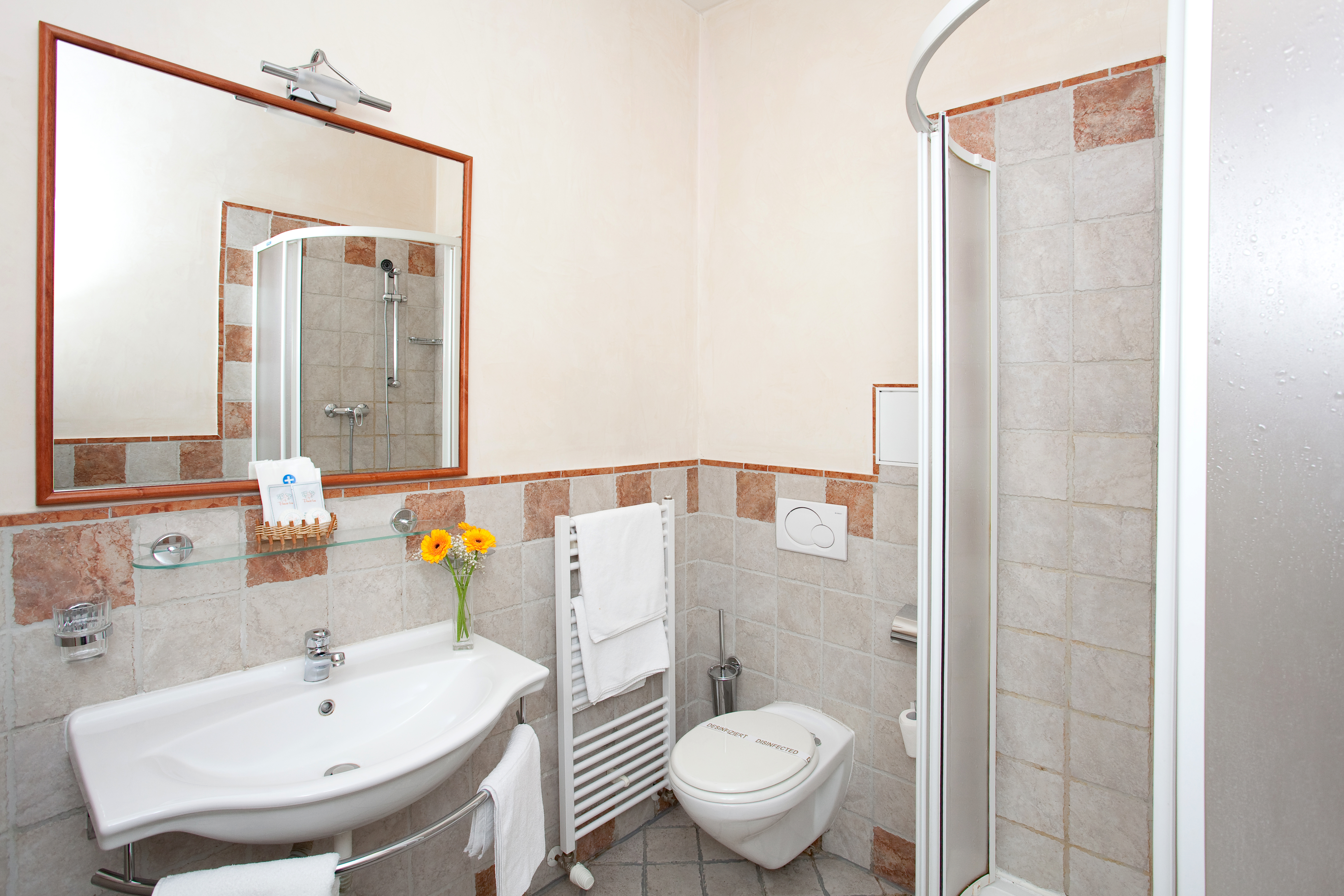 Double or Twin Standard