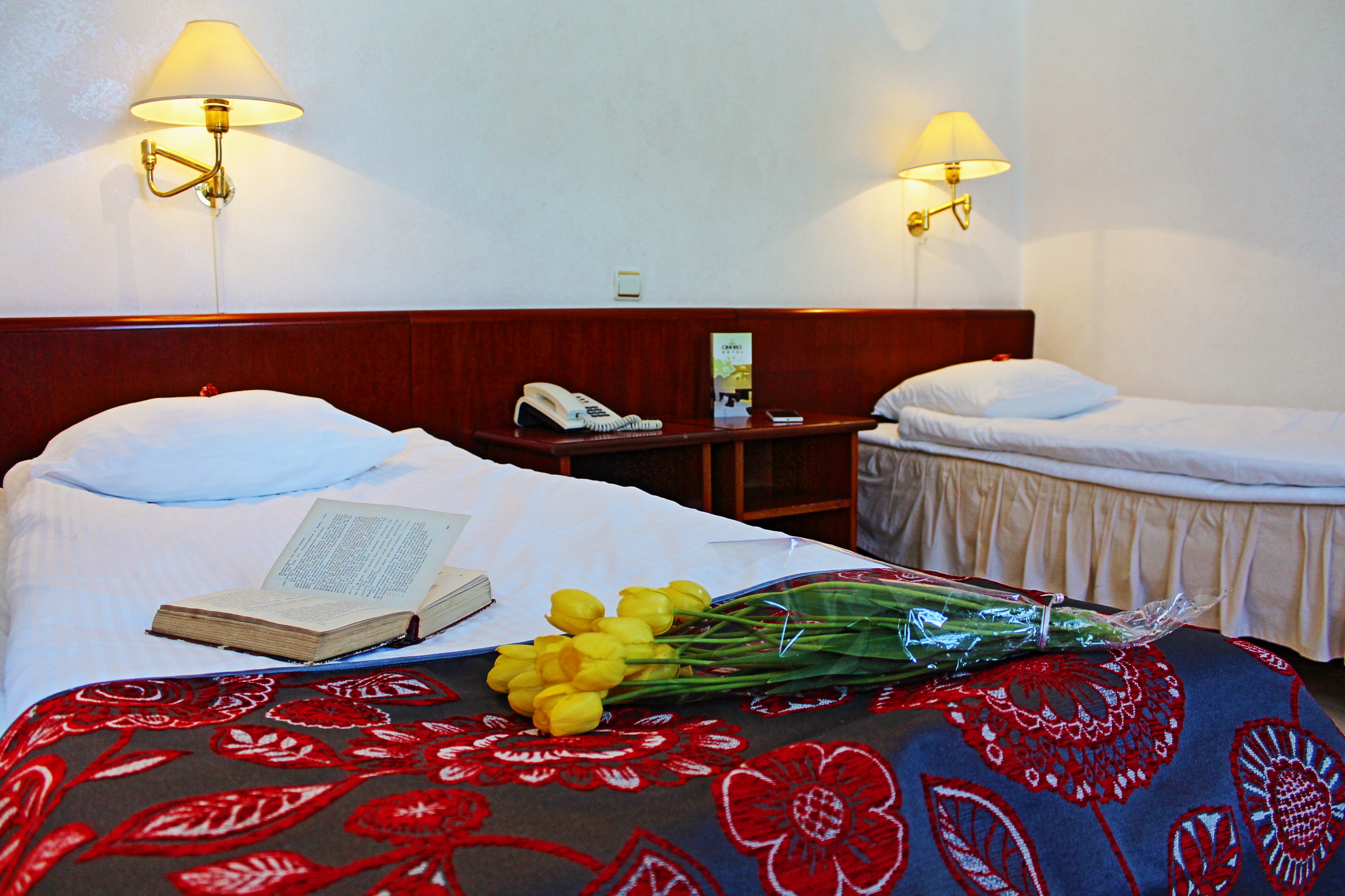 Double or Twin Standard