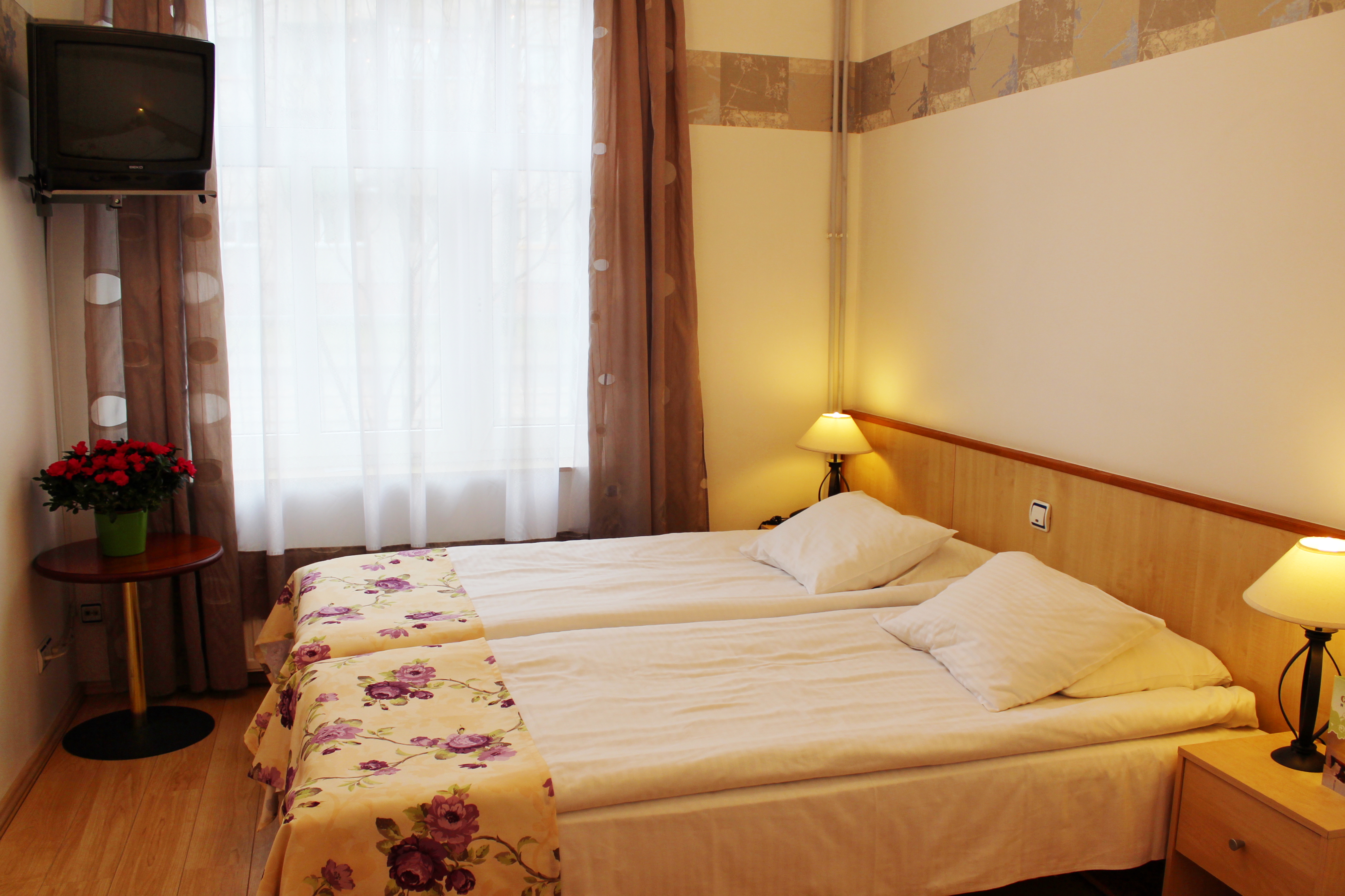 Double or Twin Standard