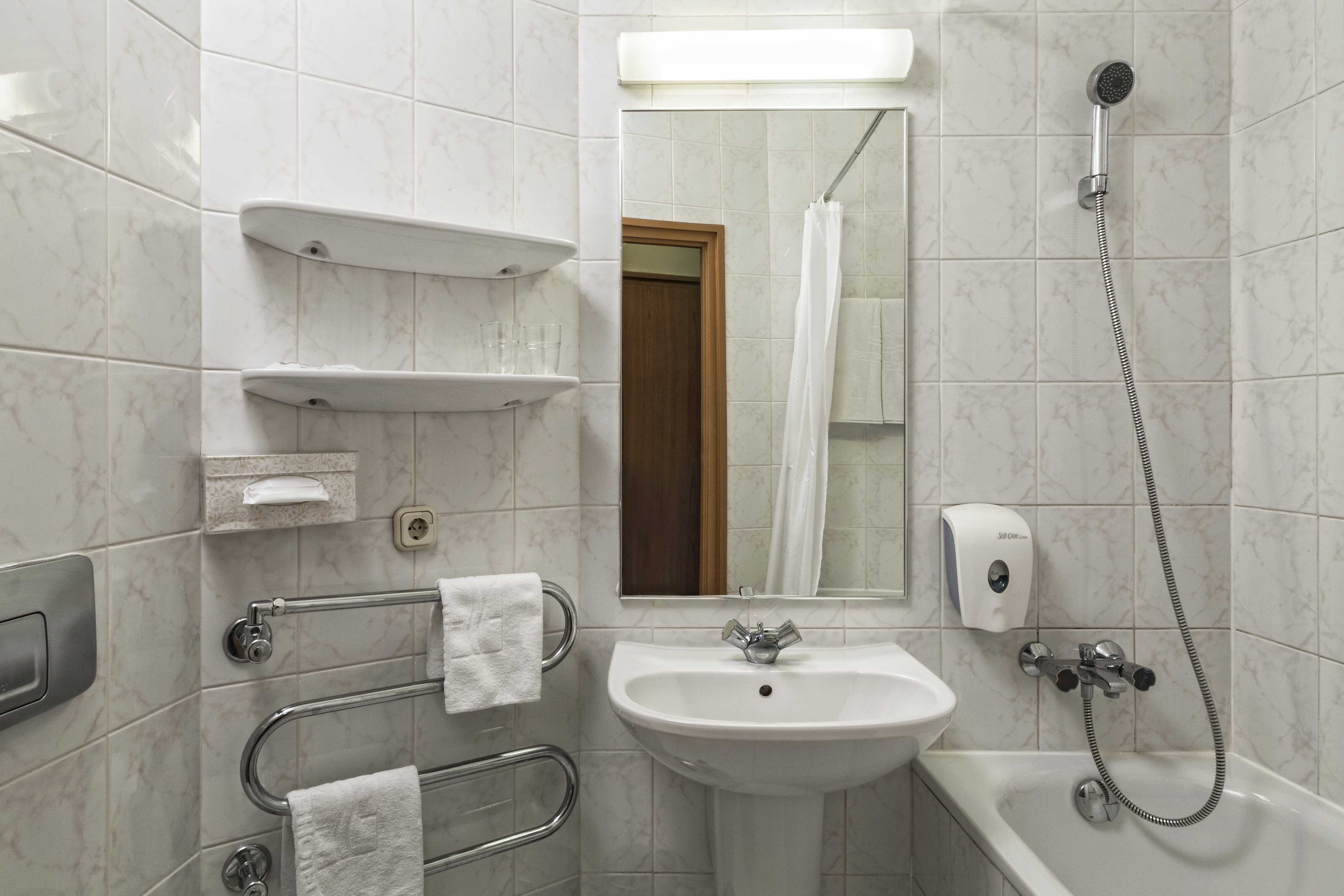 Double or Twin Economy