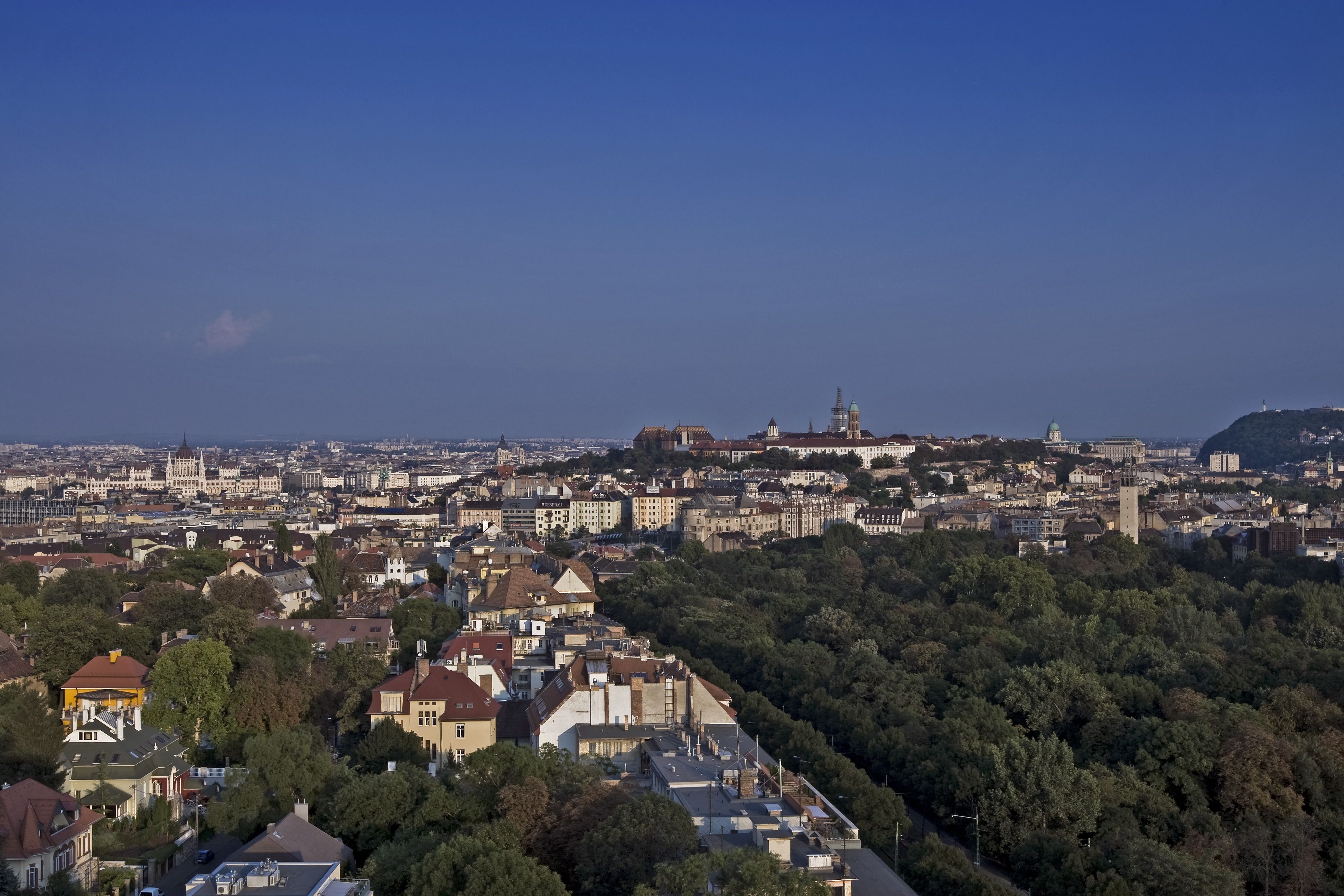 Double or Twin Economy