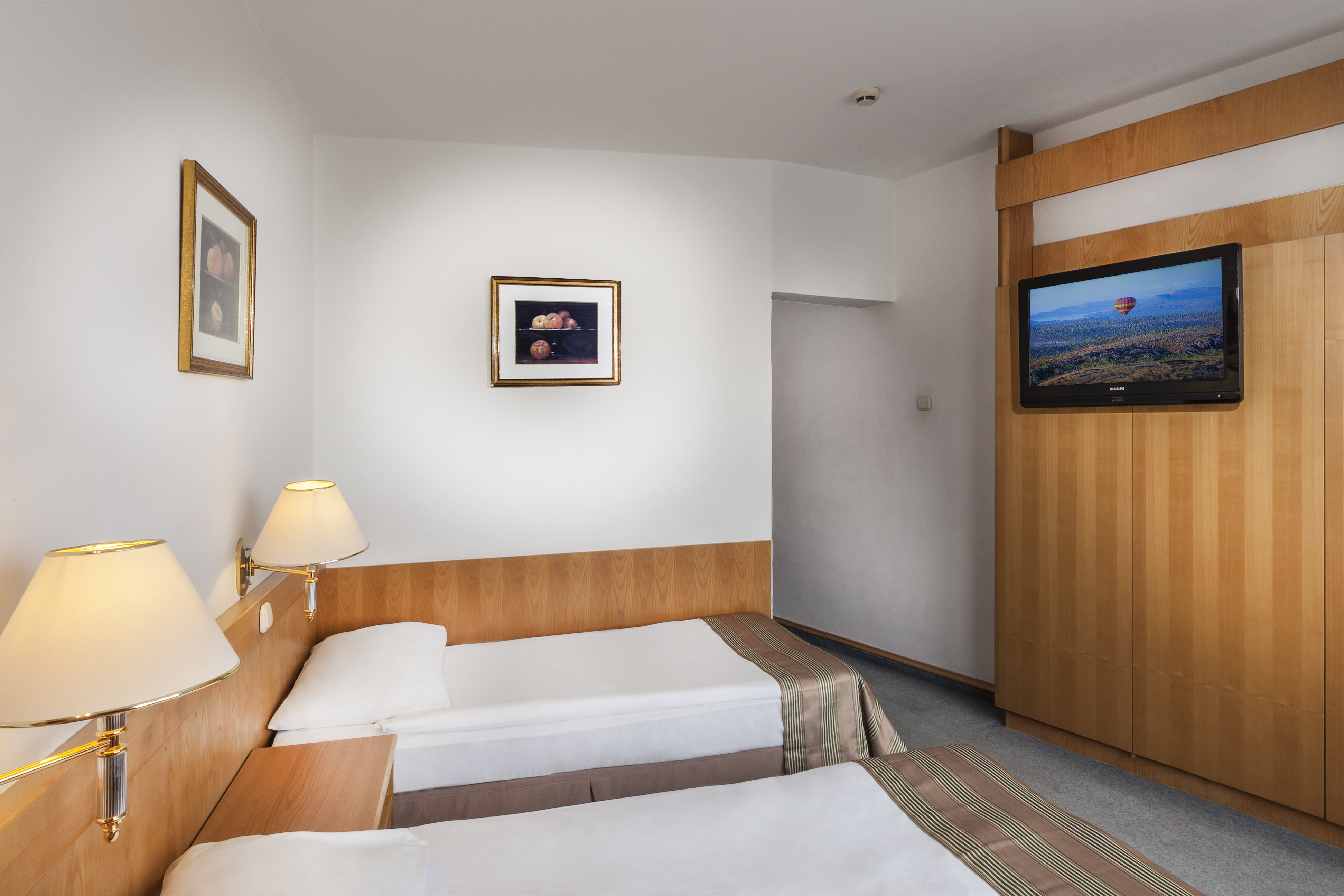 Double or Twin Economy