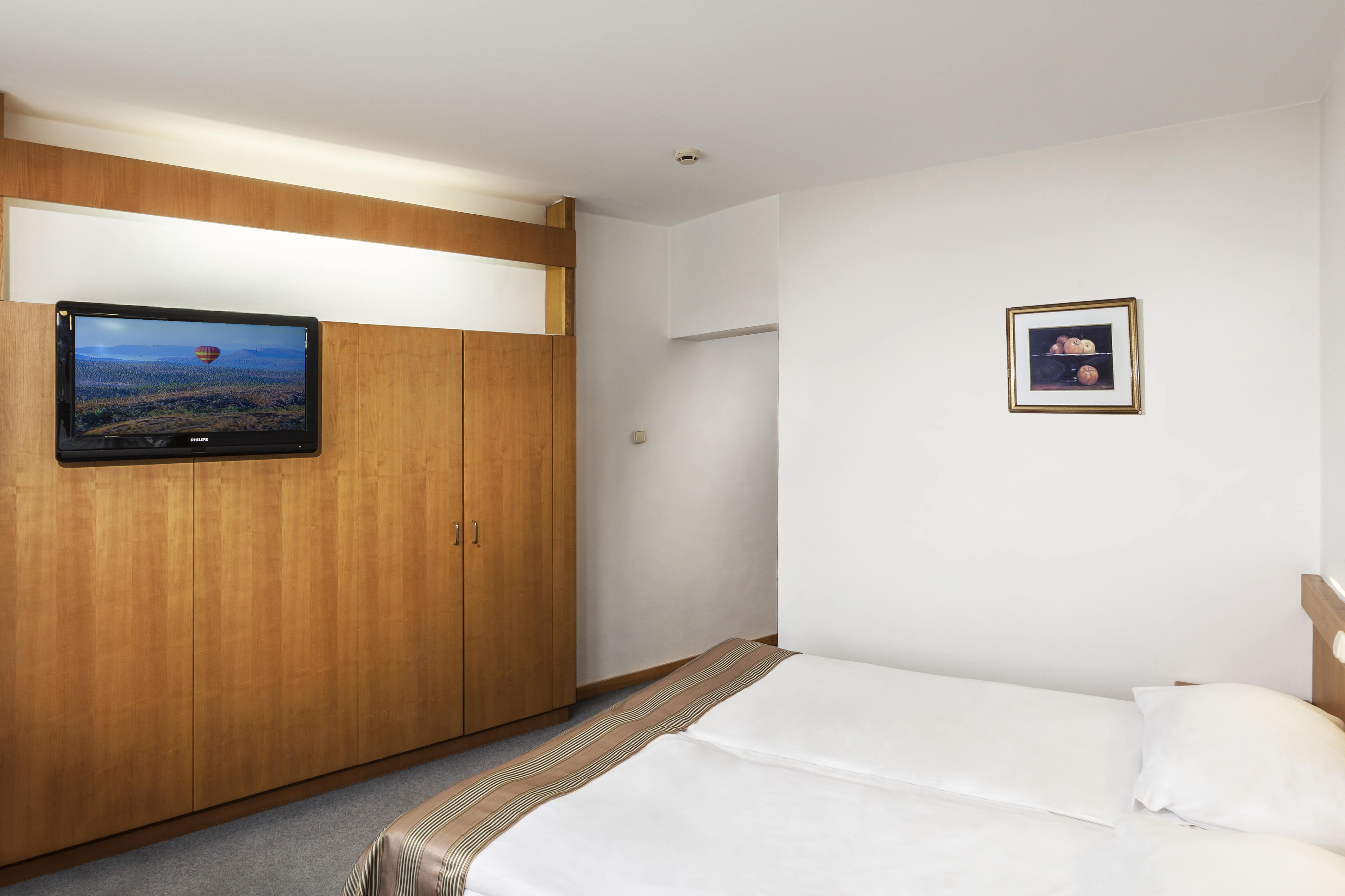 Double or Twin Economy