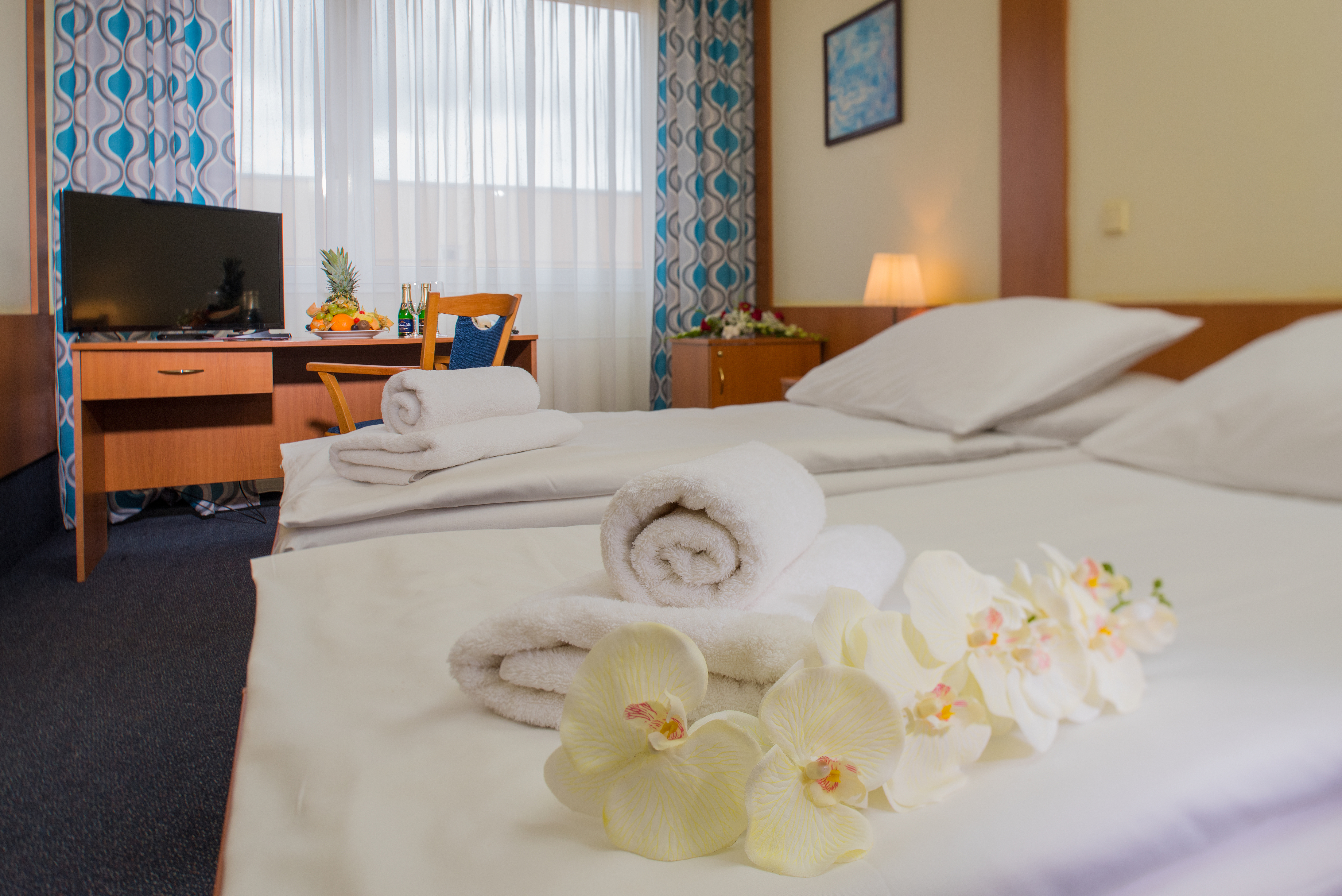 Double or Twin Standard