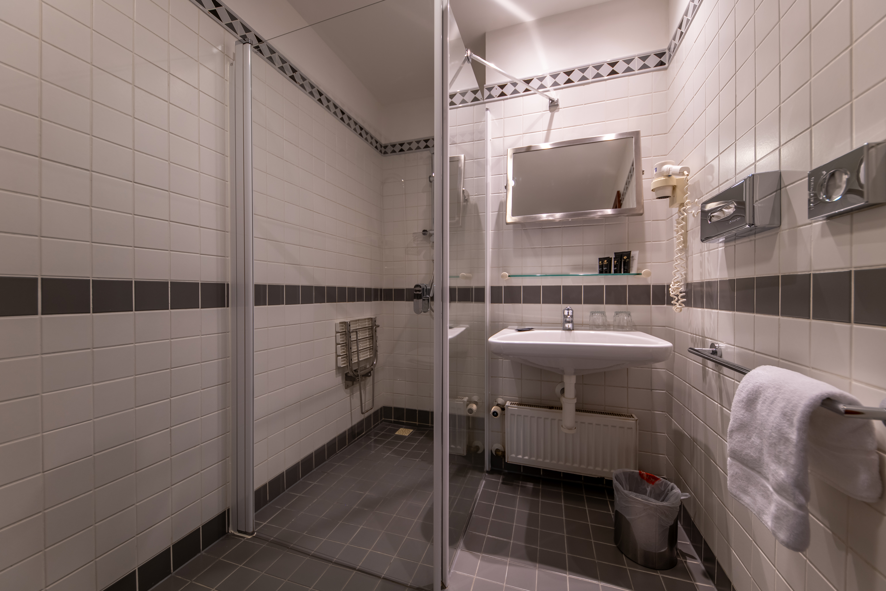 Double or Twin Standard