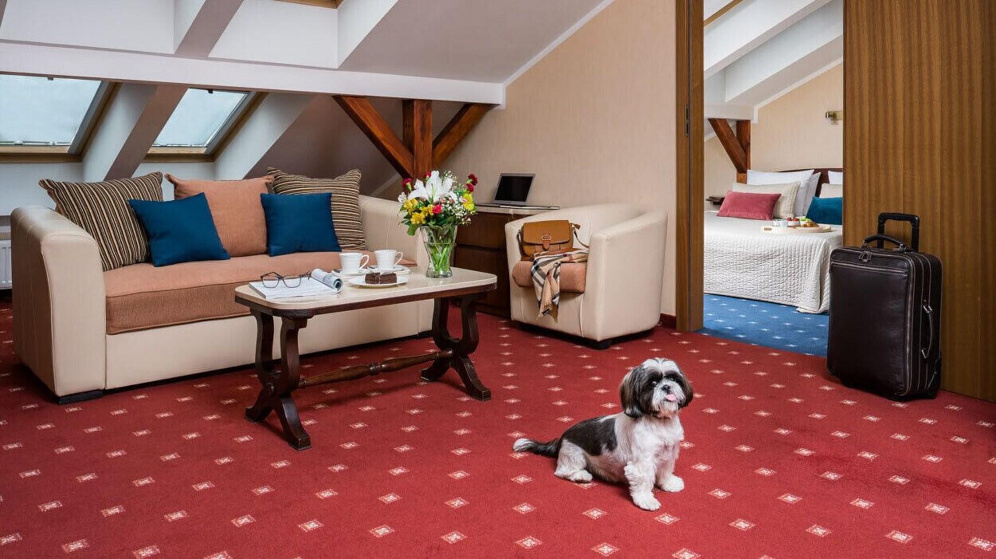 Apartment King Size Bed