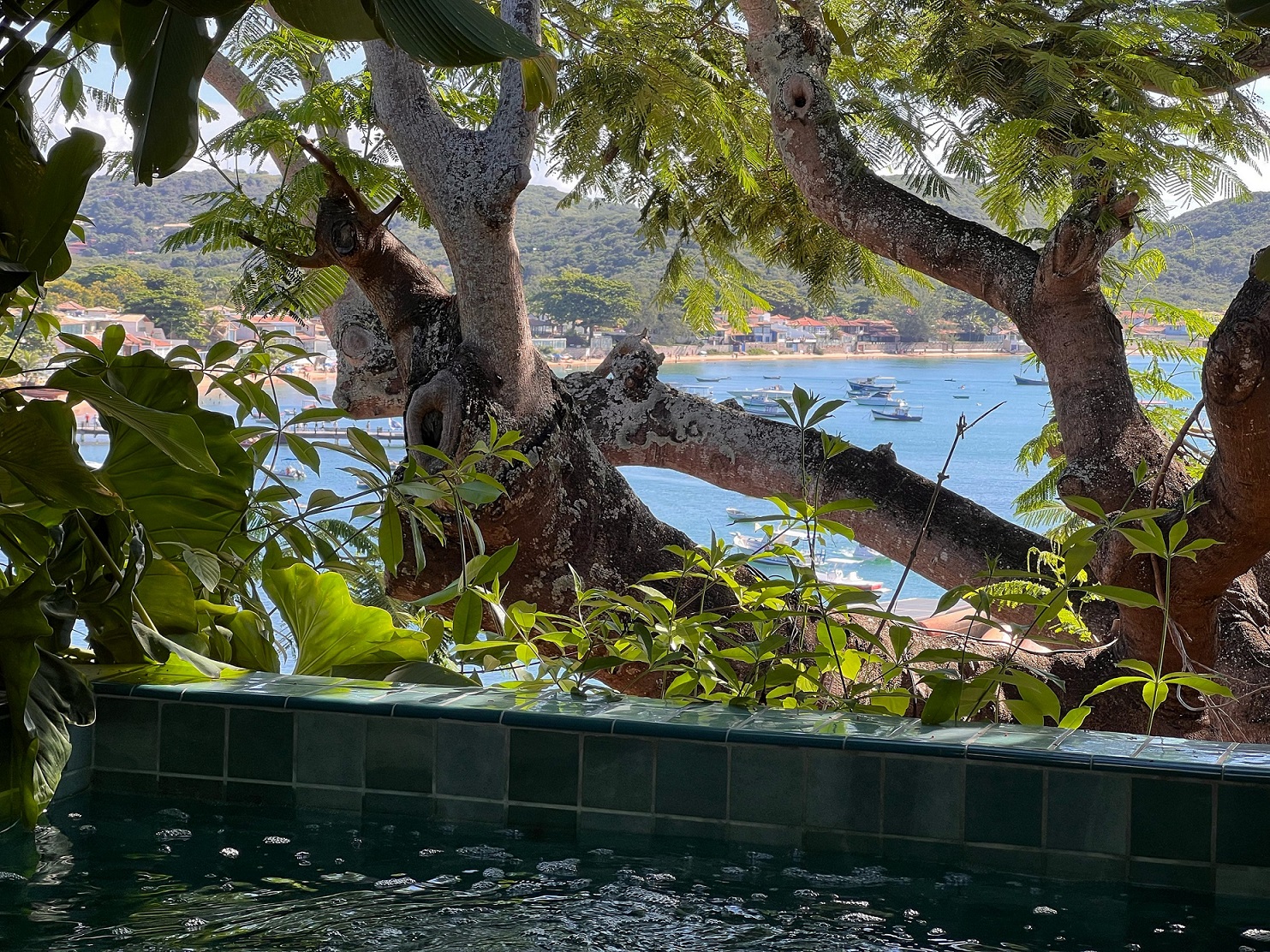 Suite Premium Ocean Front