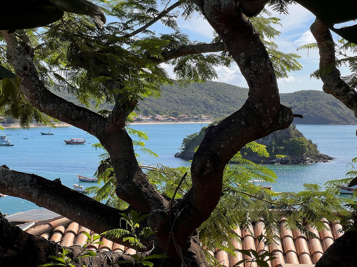 Suite Premium Ocean Front