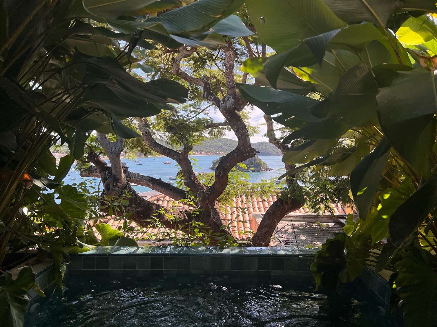 Suite Premium Ocean Front