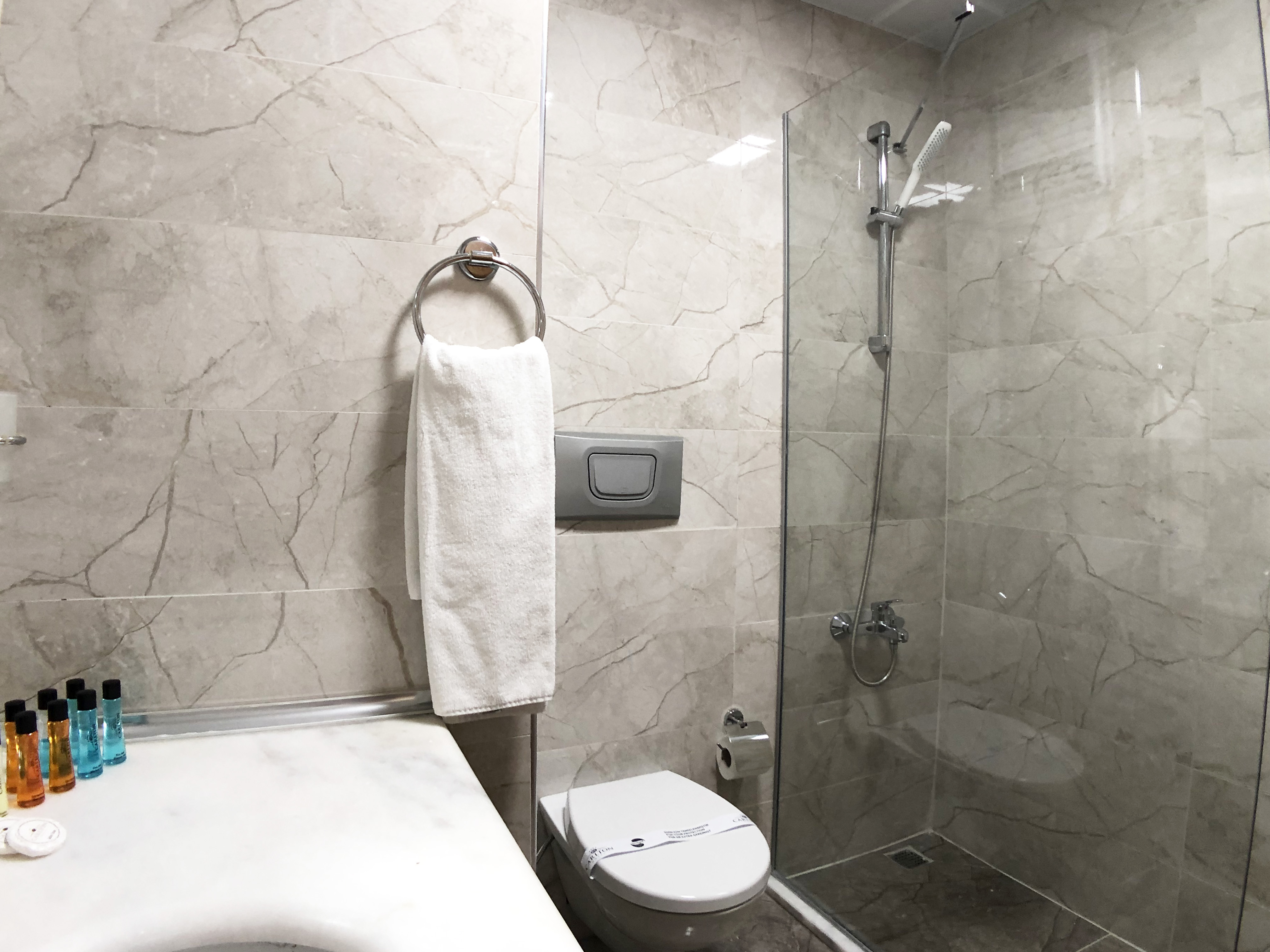 Double or Twin Economy