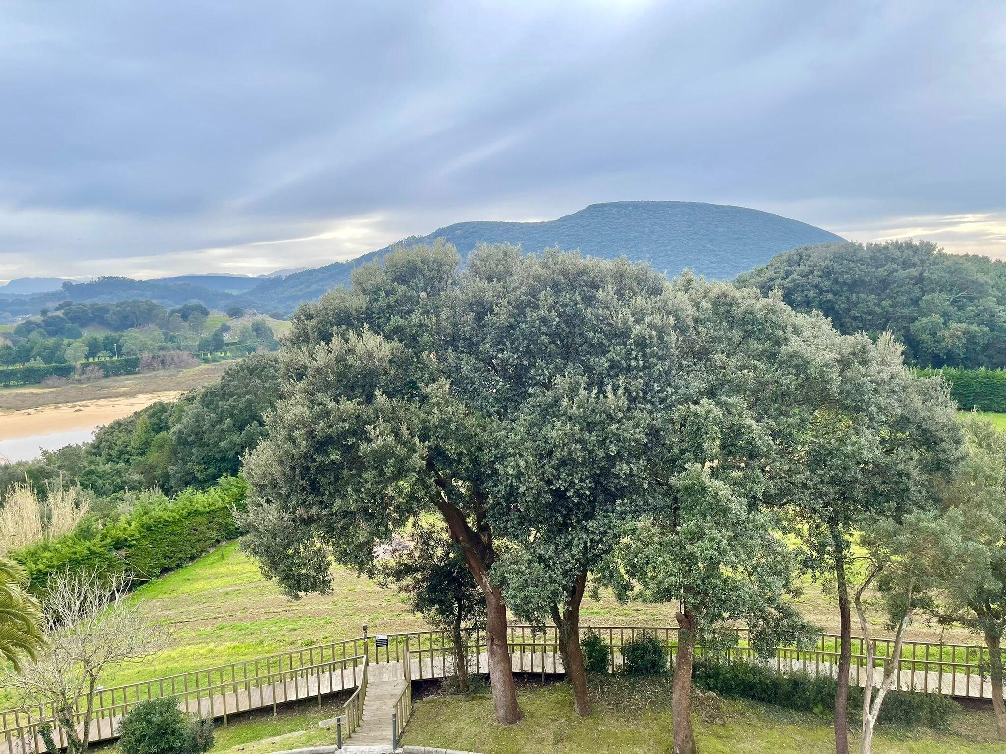 Double Superior with Balcony