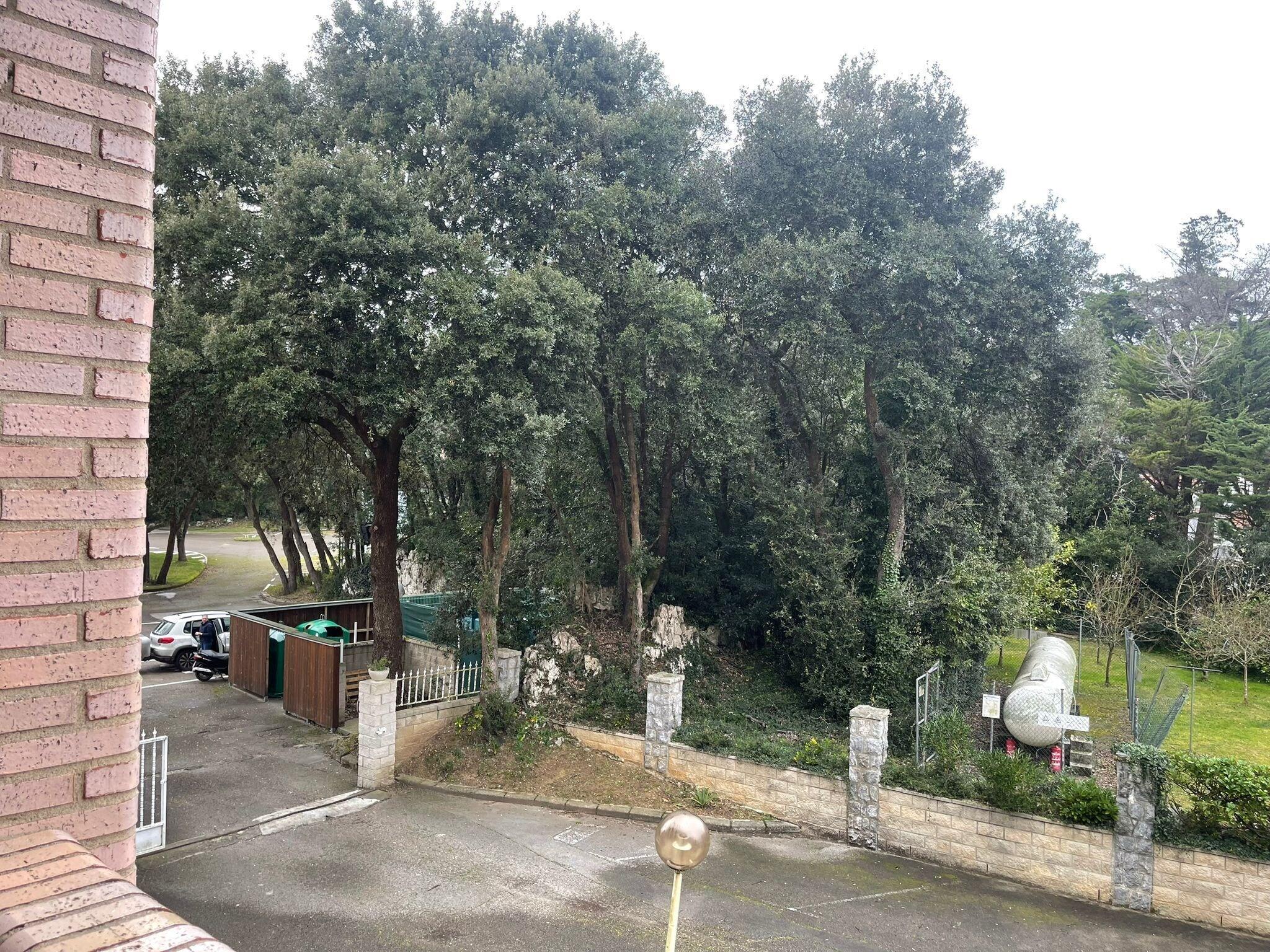 Double Queen Size Bed