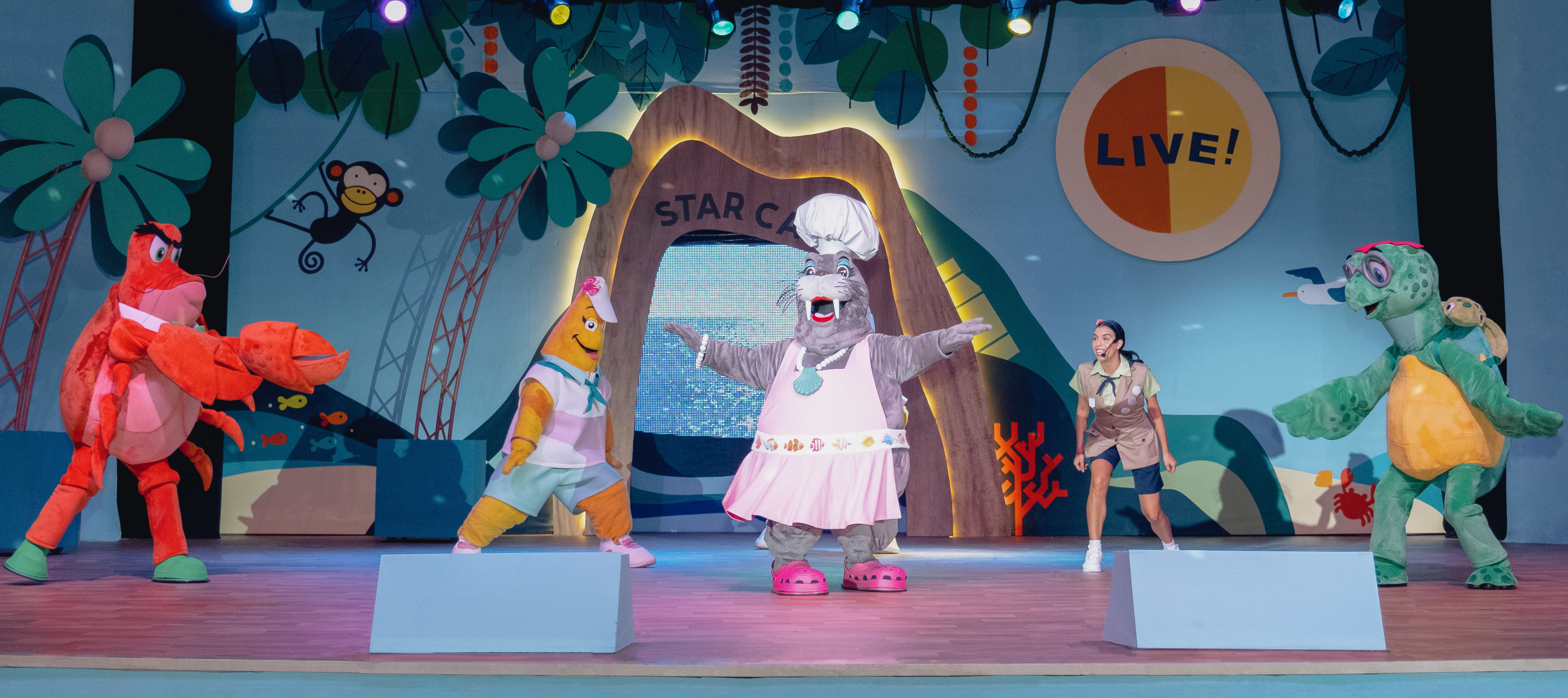 Sports and Entertainment