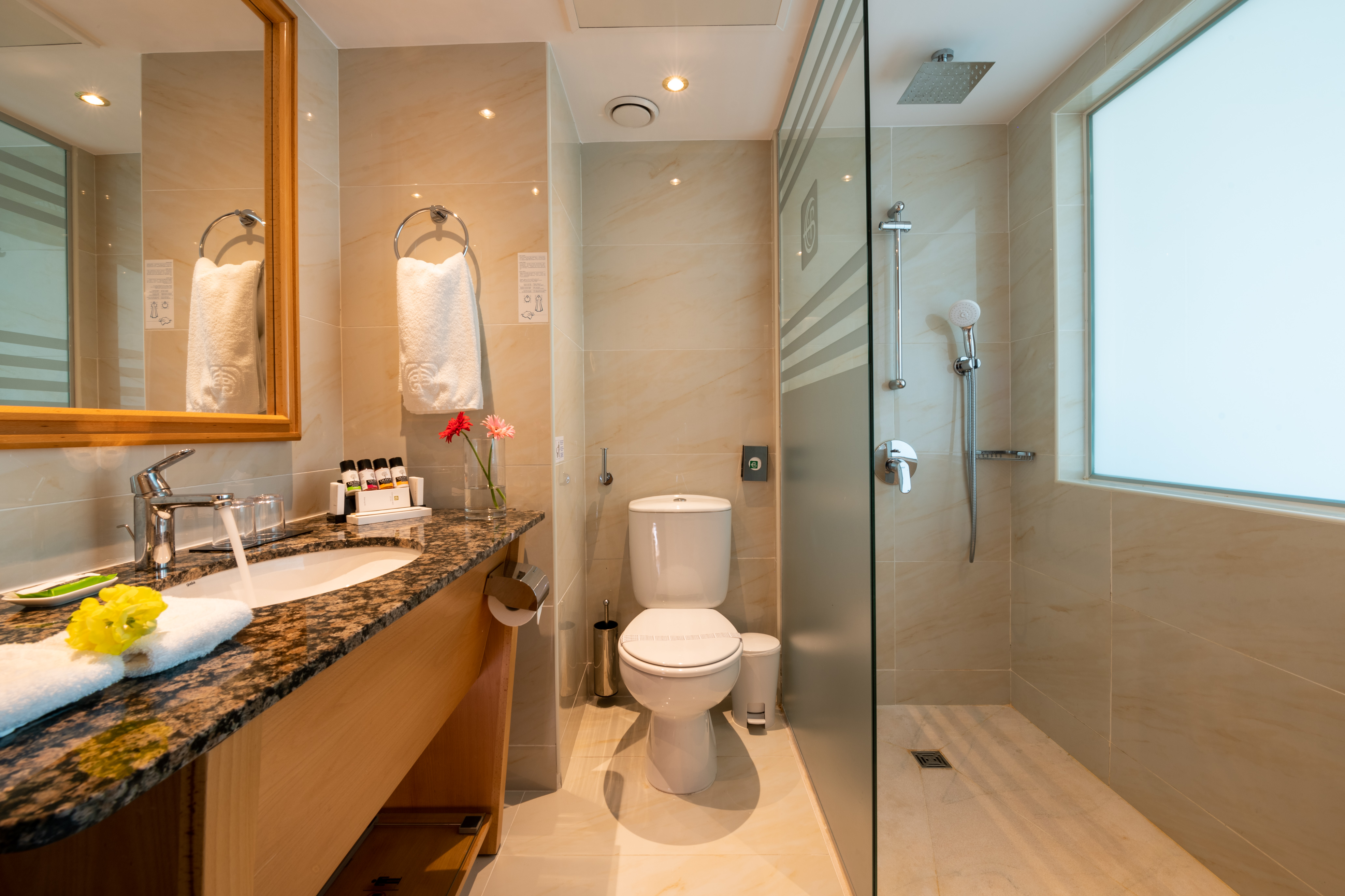 Double or Twin Superior Sea View