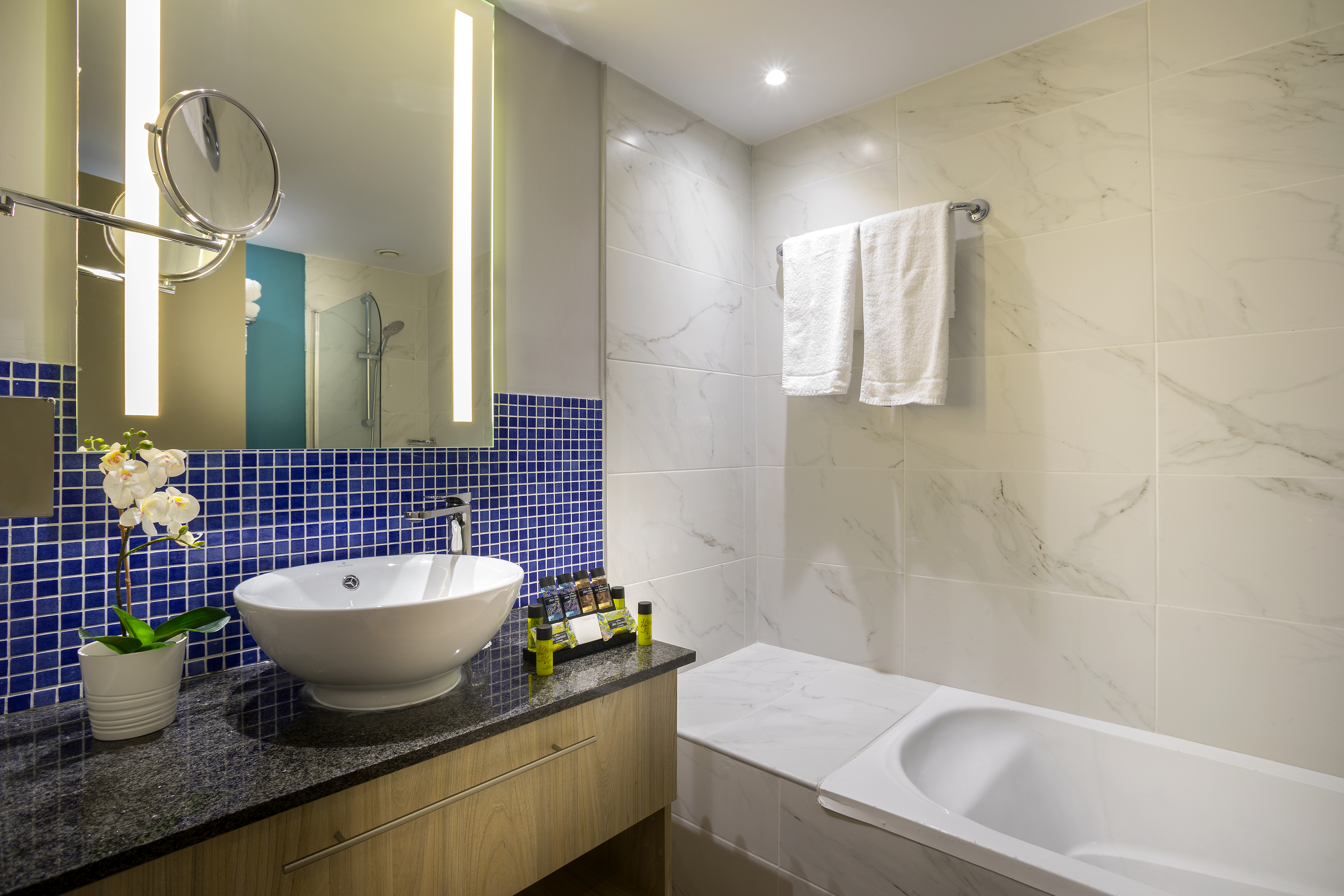 Family Room Standard