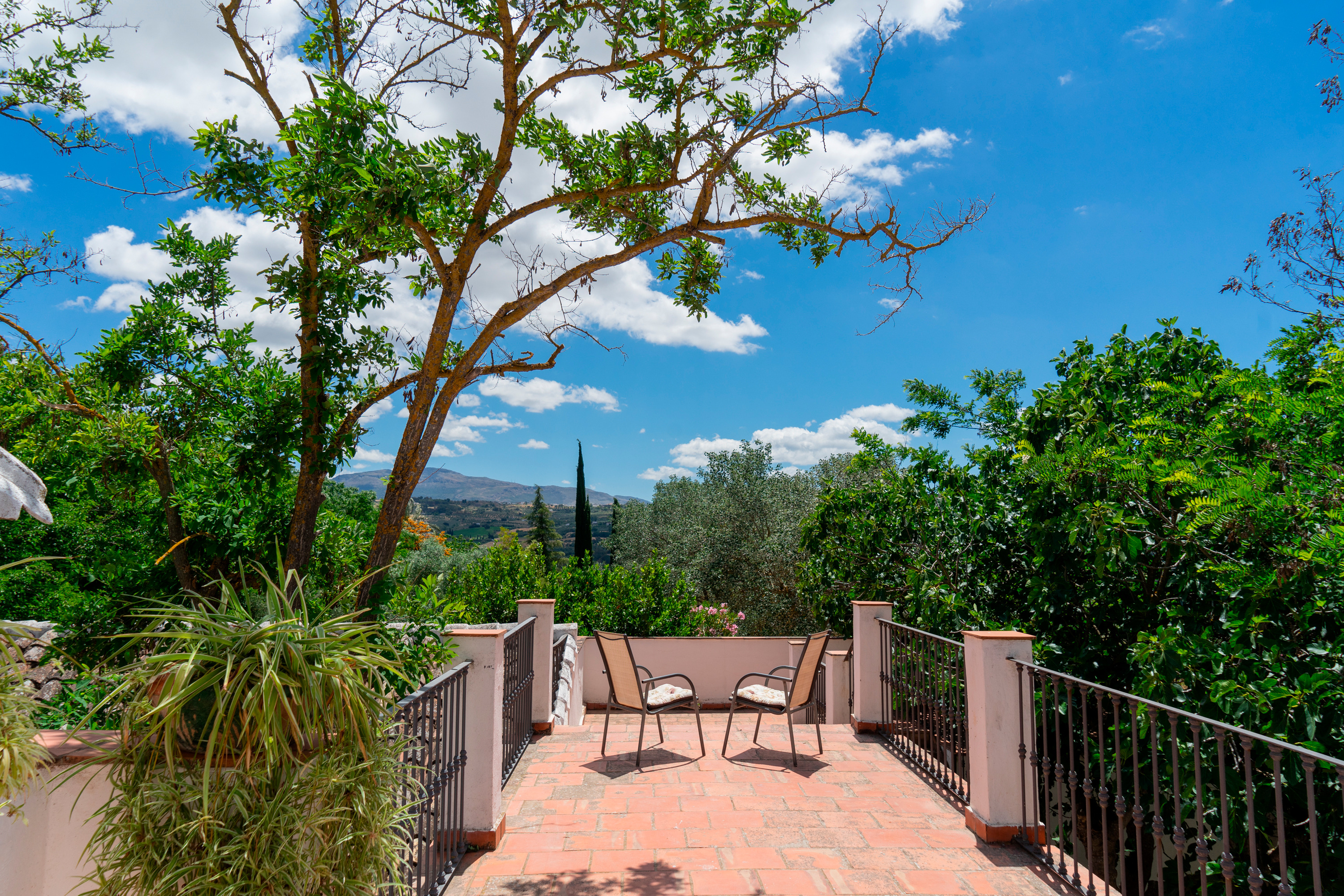 Junior Suite with Terrace