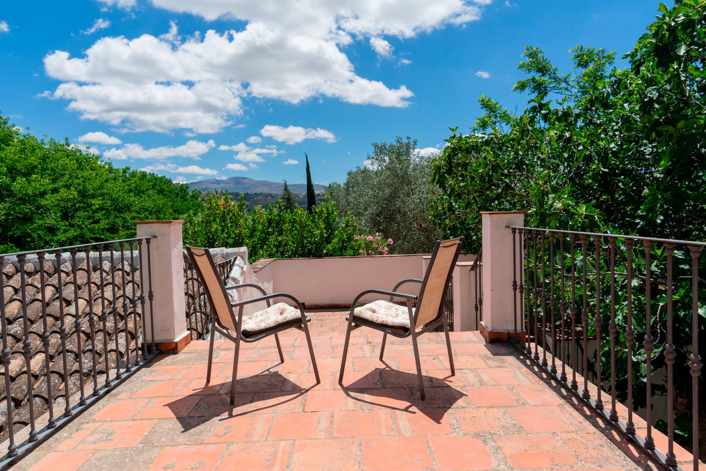 Junior Suite with Terrace