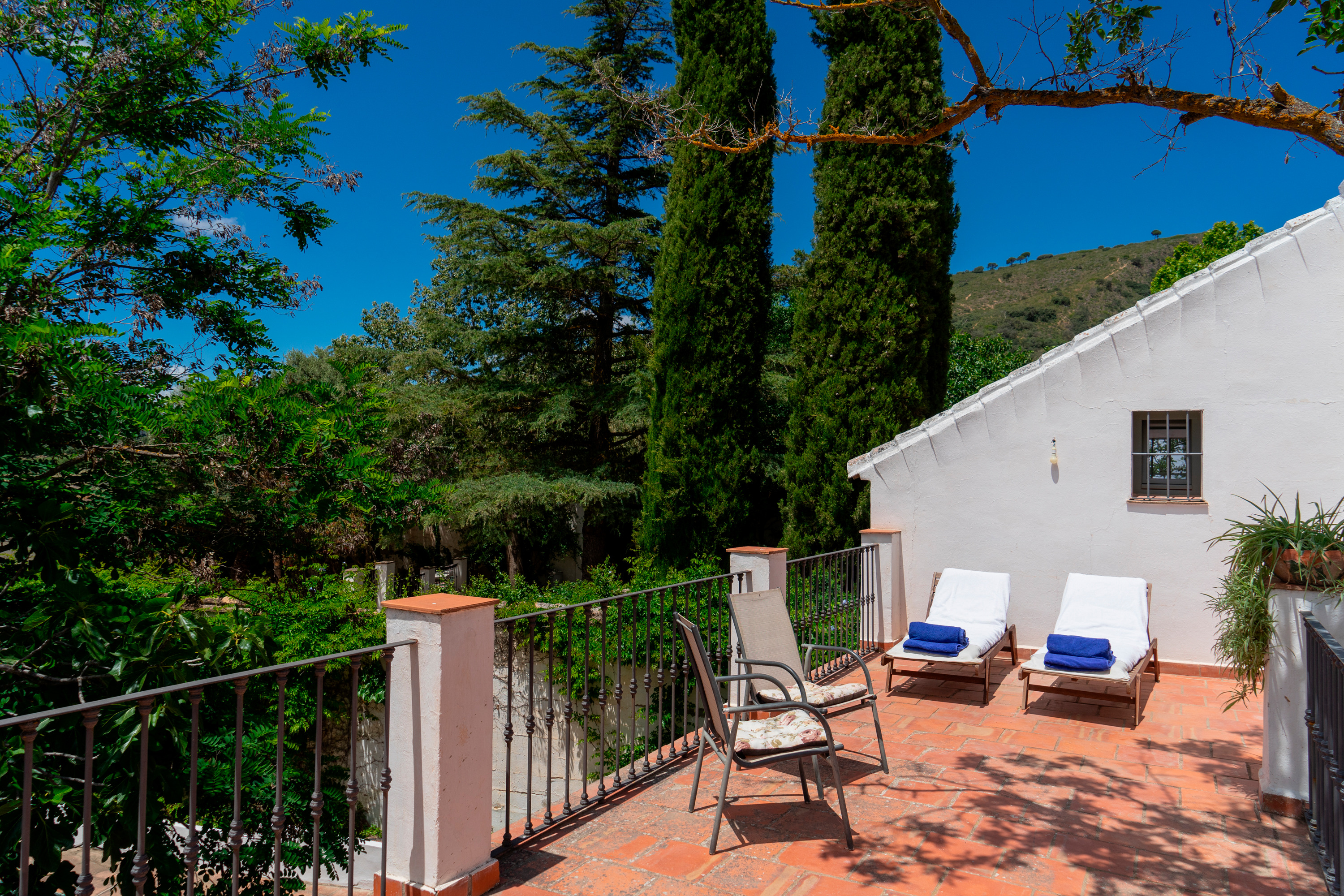 Junior Suite with Terrace