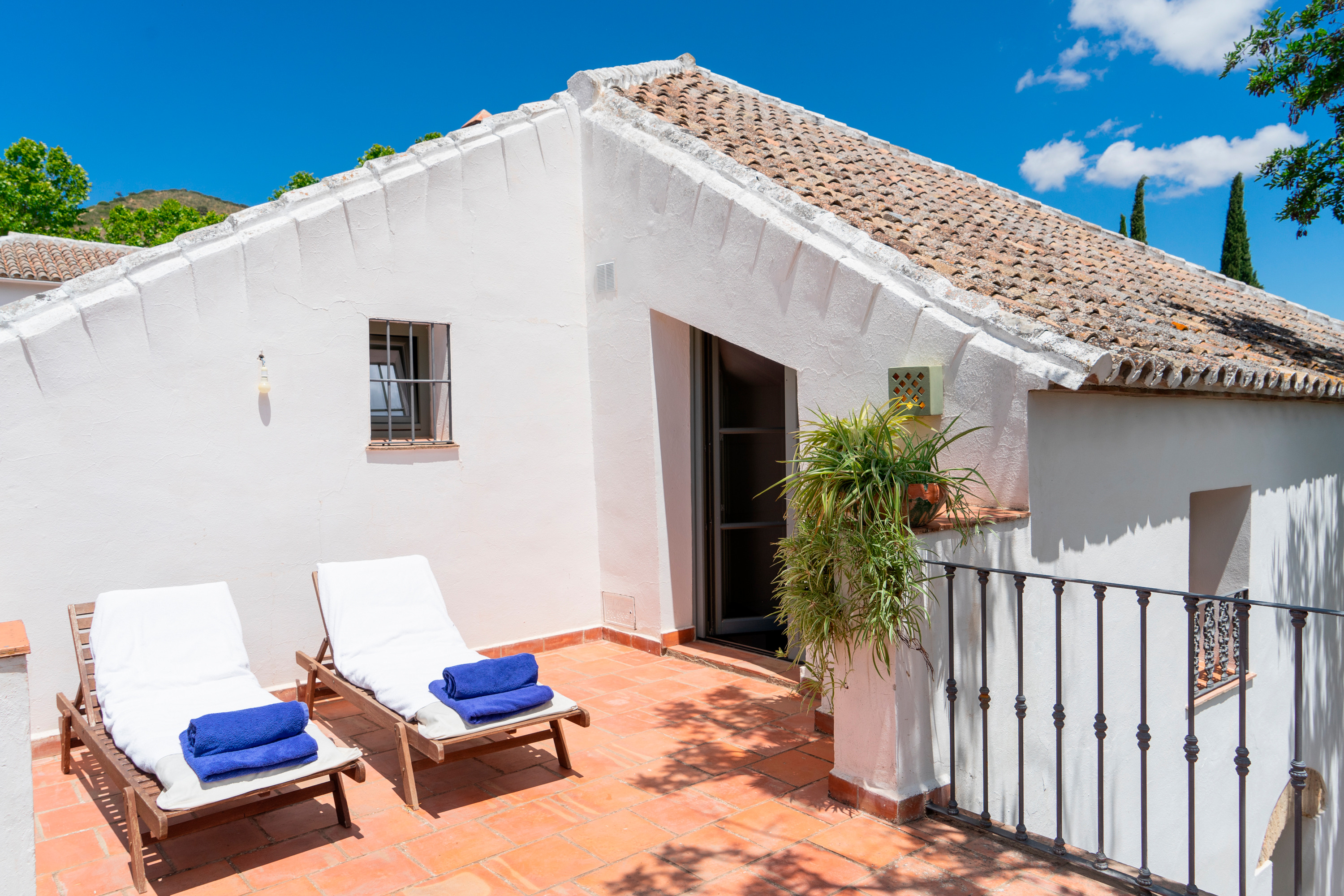 Junior Suite with Terrace