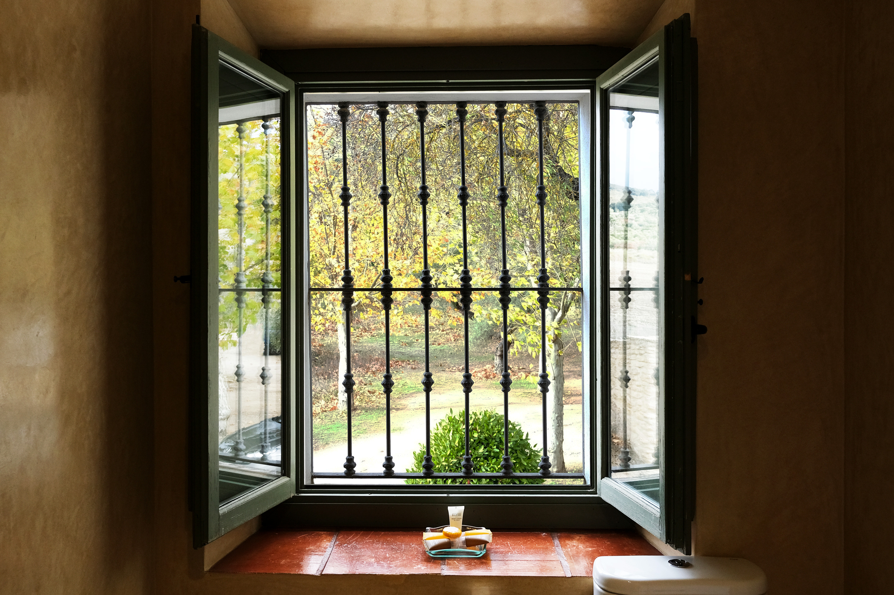 Double or Twin Superior