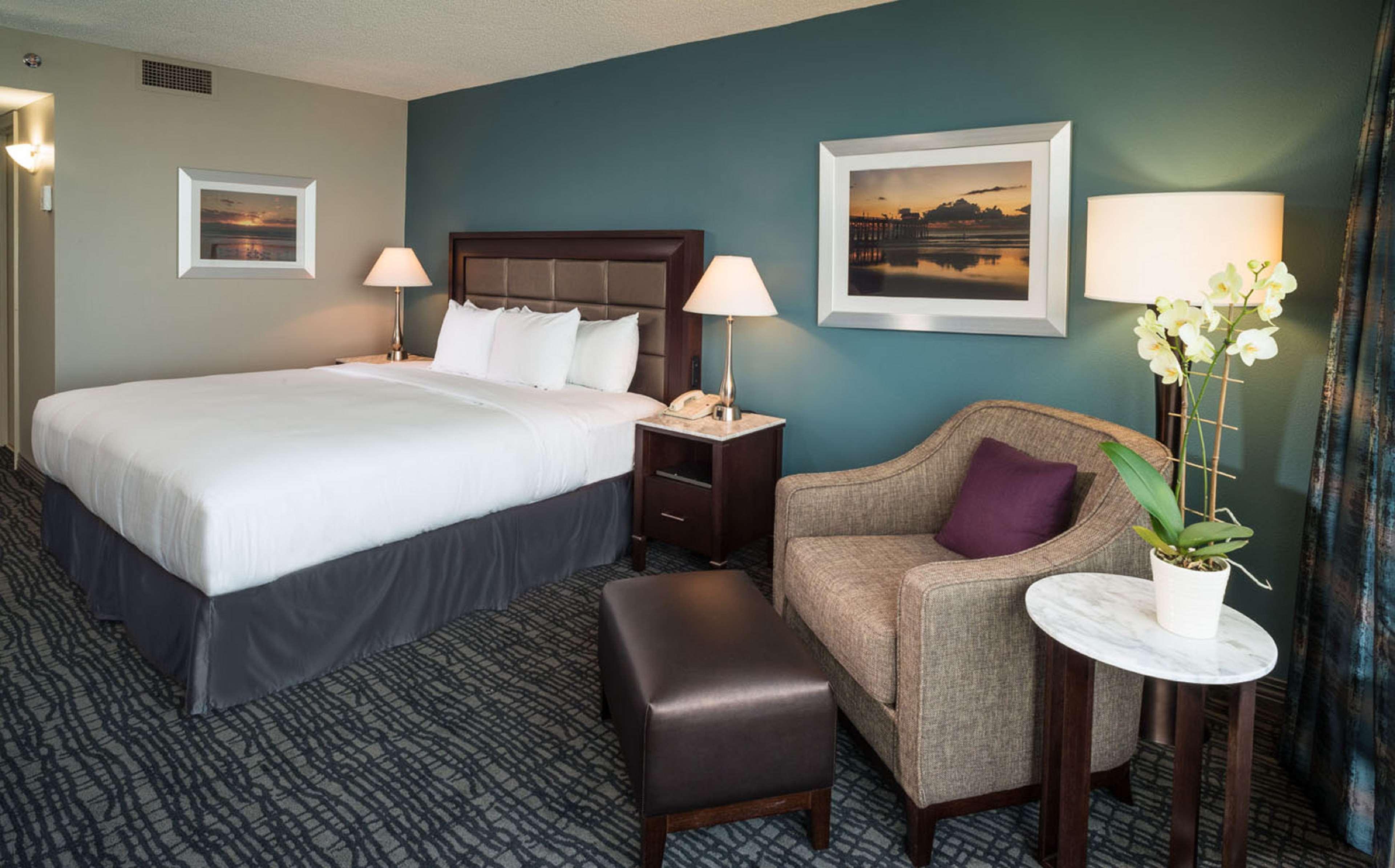 Double City View King Bed