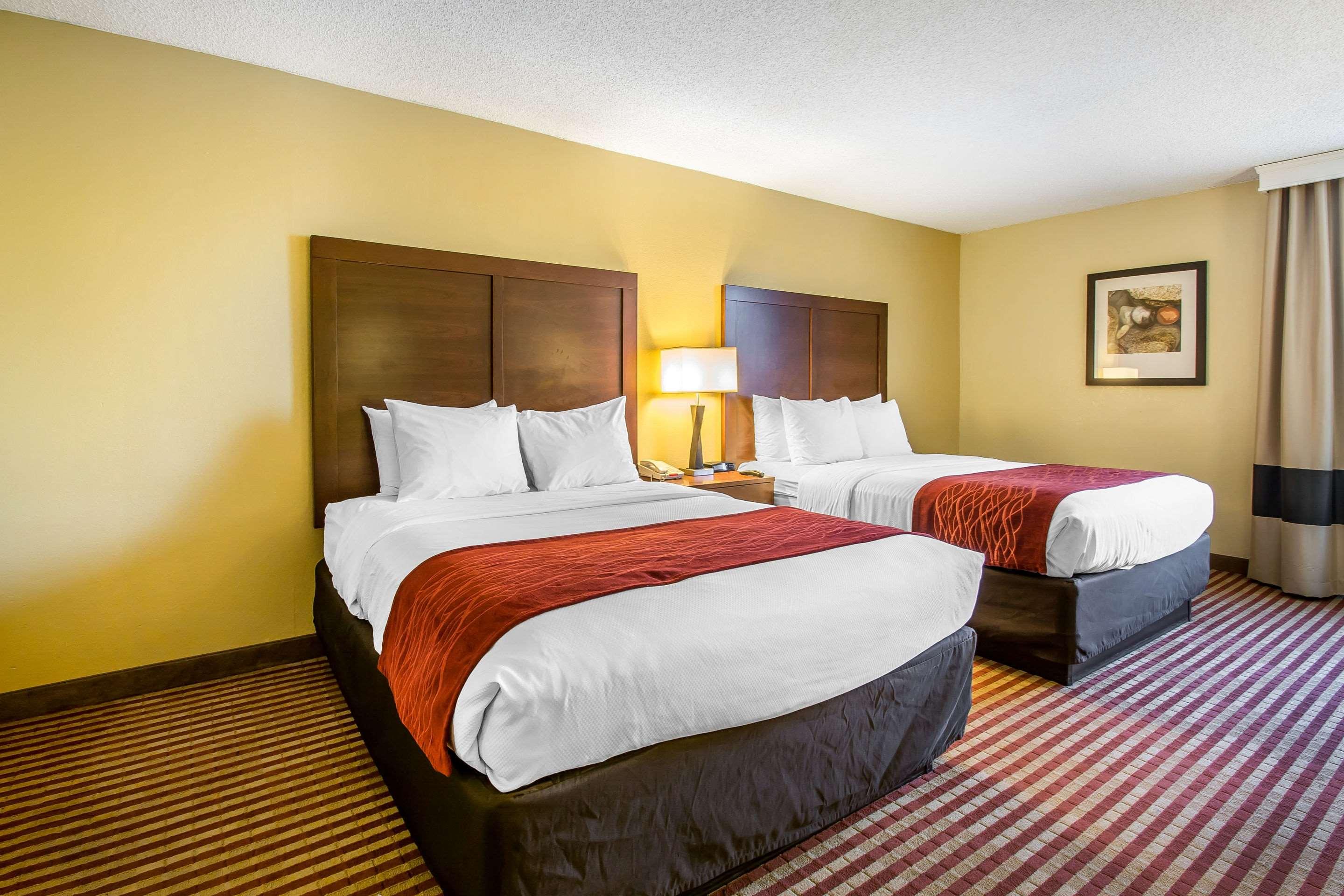 Double Two Queen Beds