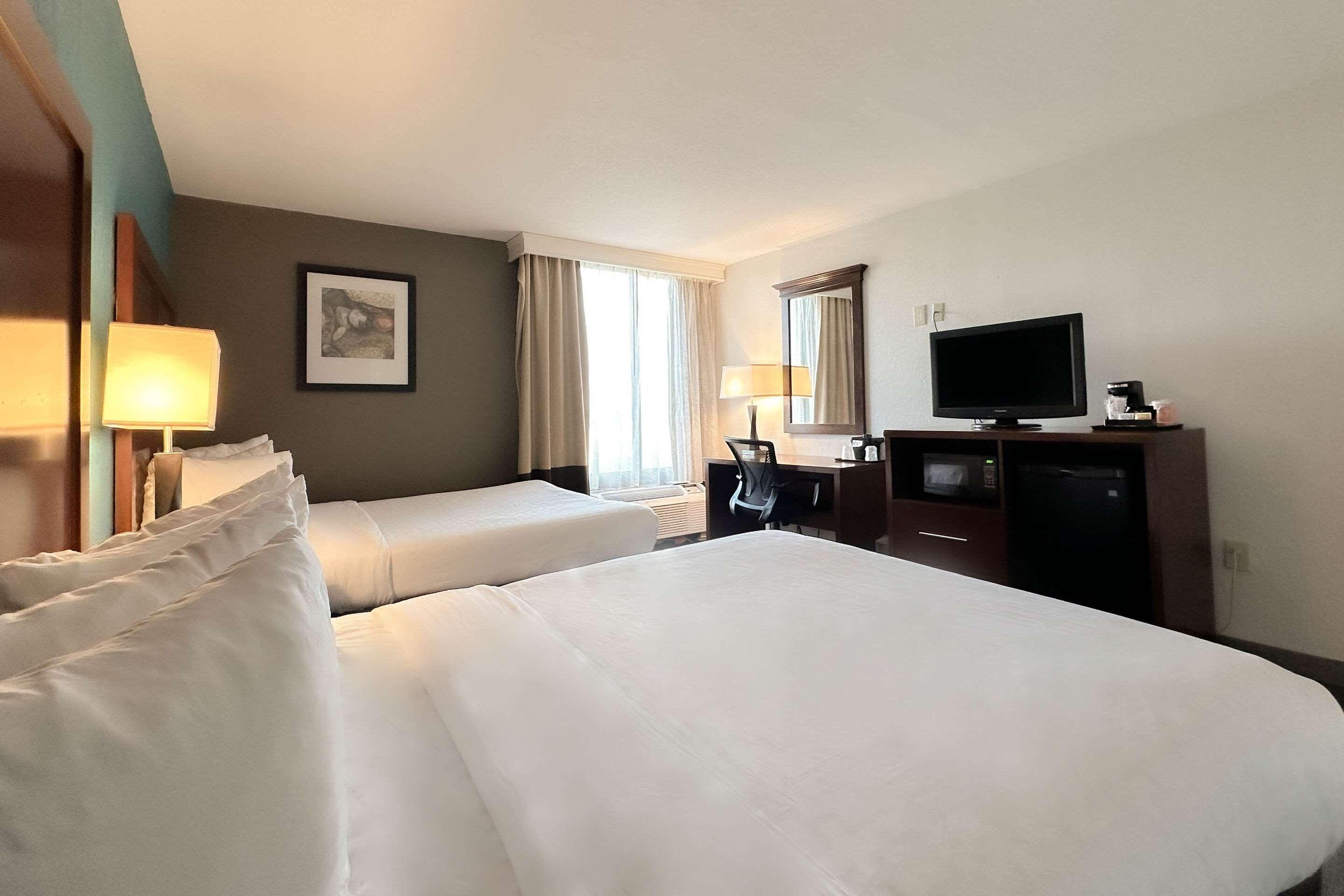 Double Two Queen Beds