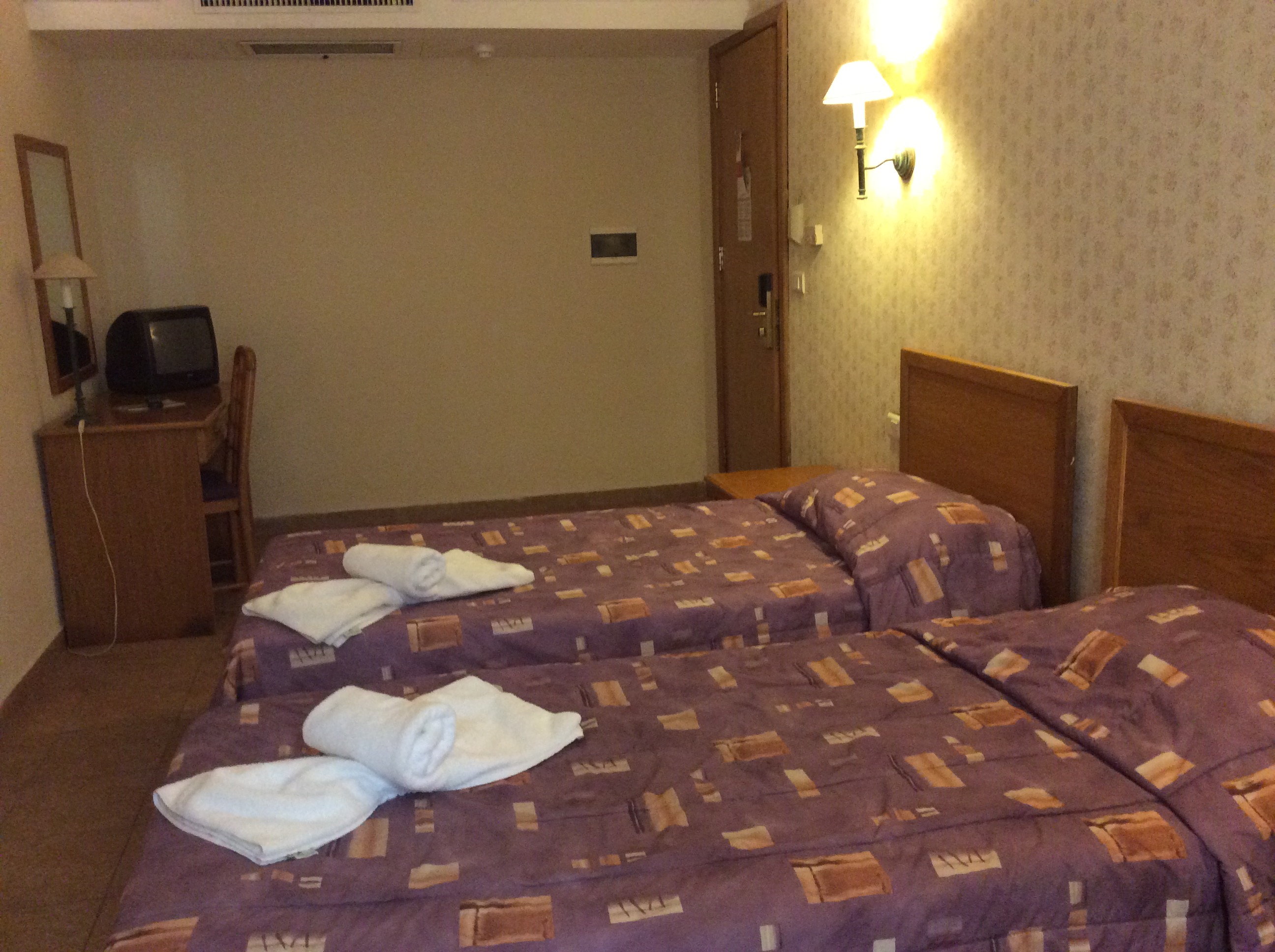 Double or Twin Economy