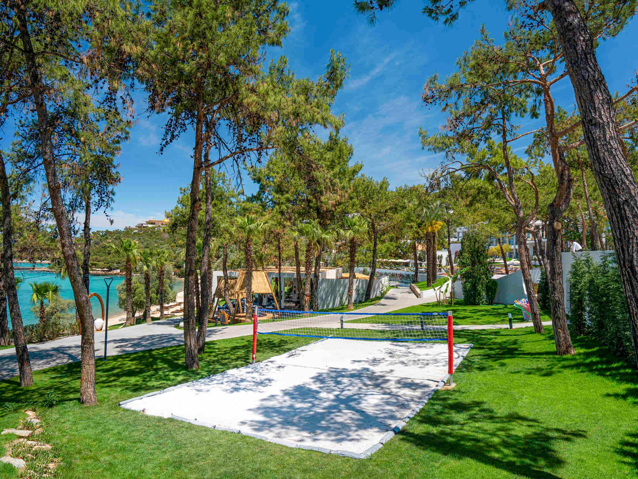 Sports and Entertainment