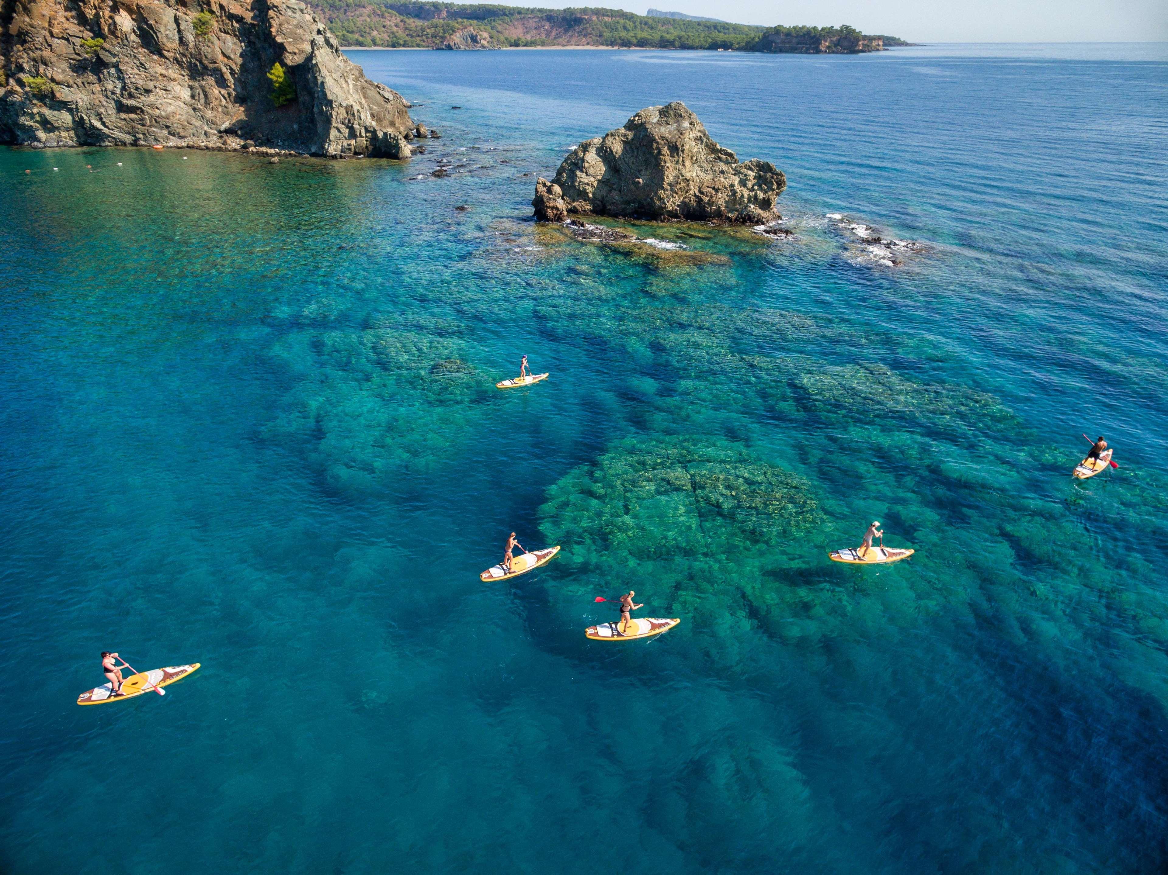 Sports and Entertainment