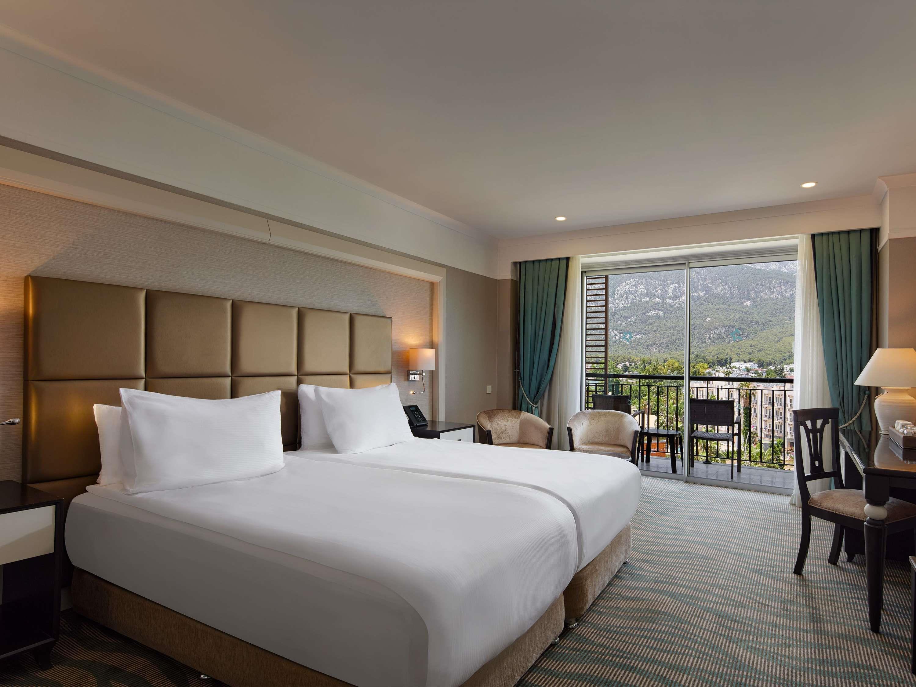 Double Classic Mountain View
