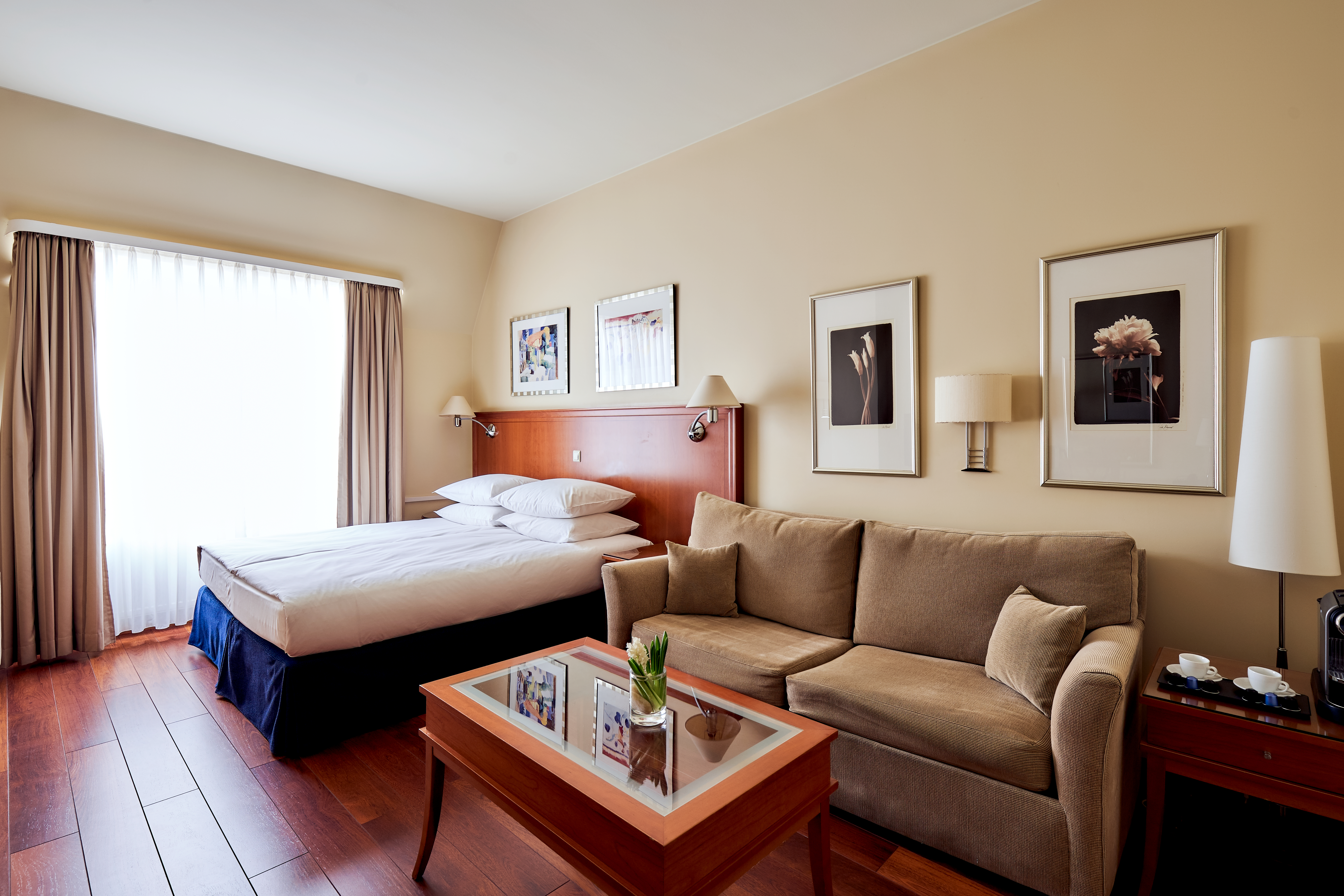 Room Superior Park View