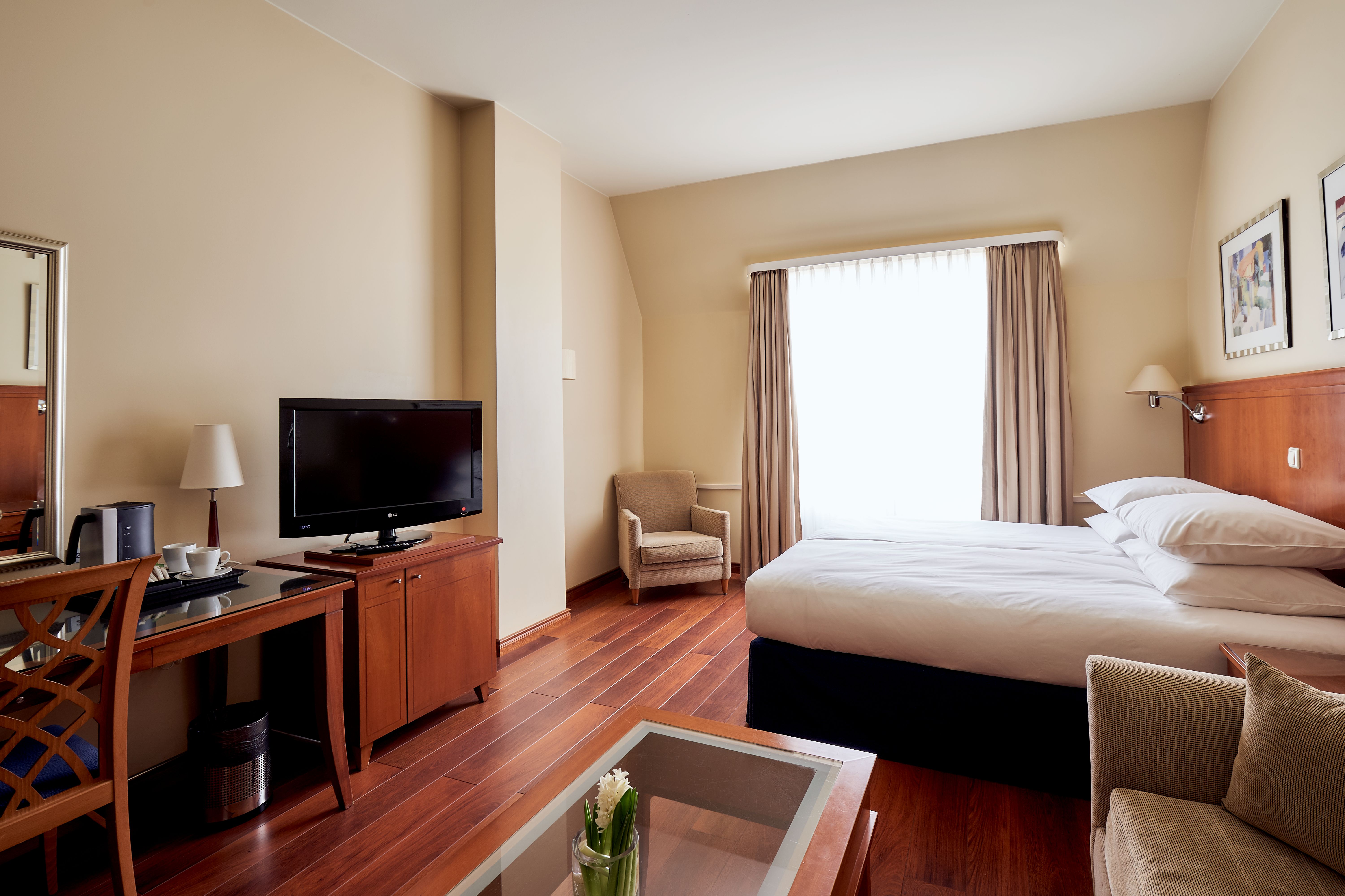 Room Superior Park View