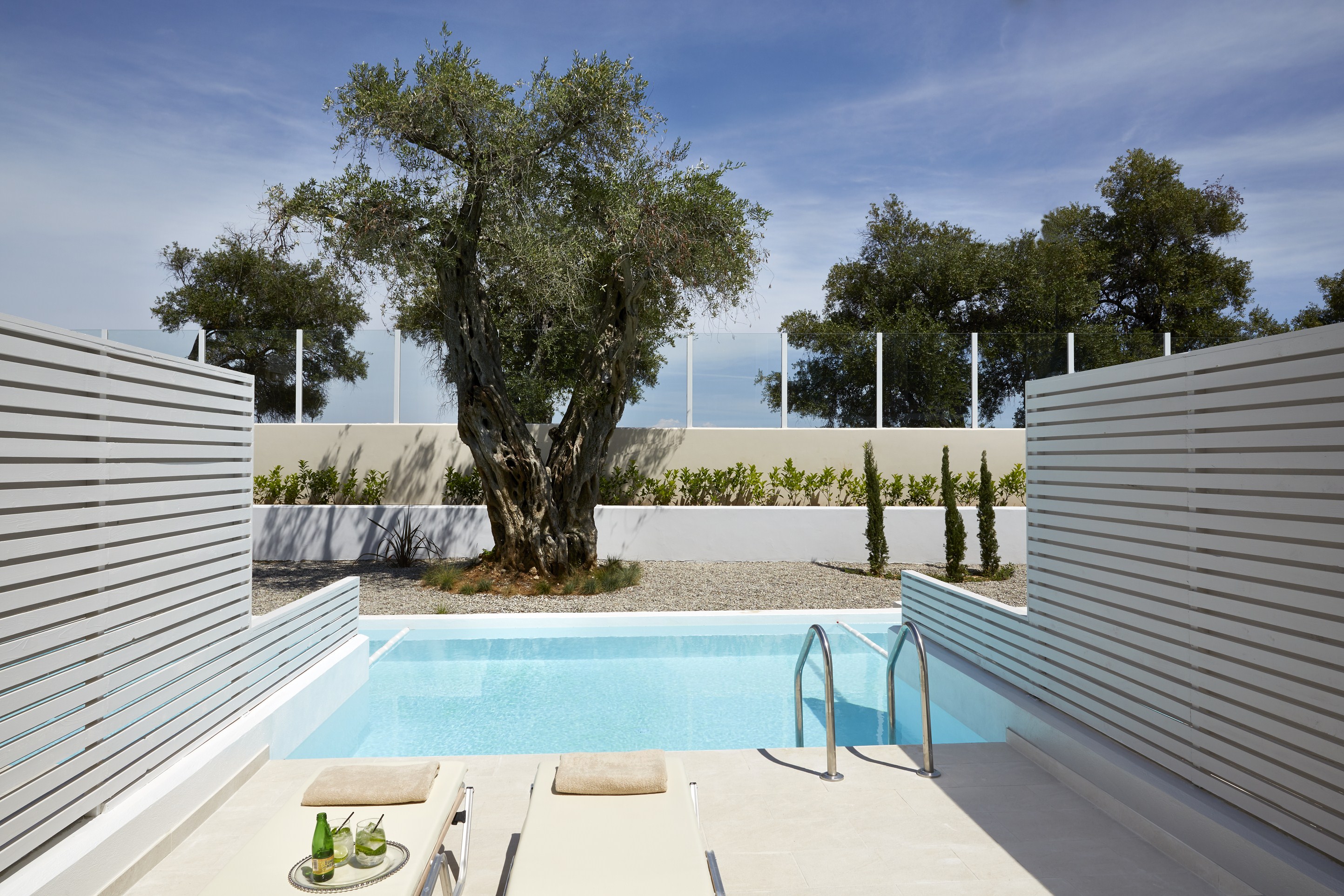 Junior Suite with Private Pool